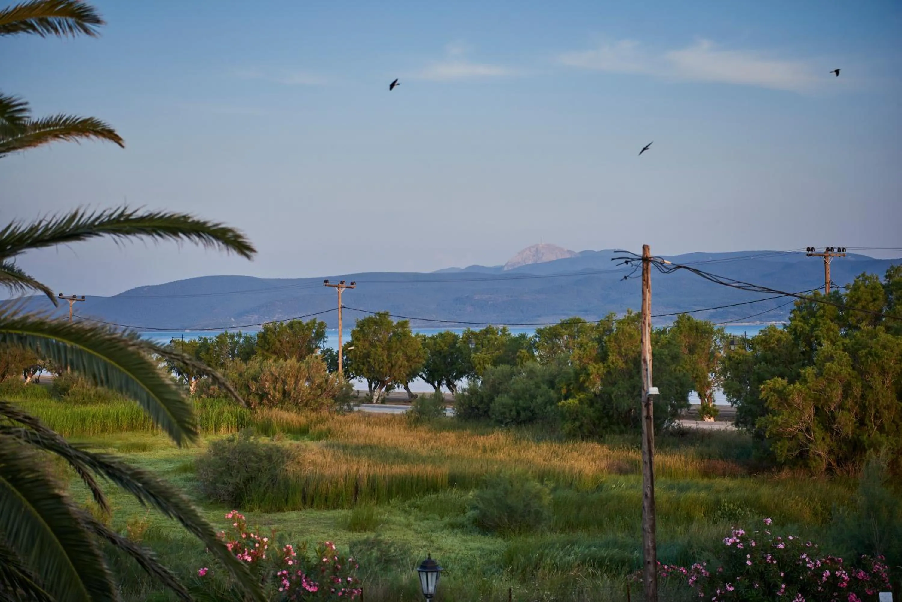 Natural landscape in Kalloni Bay