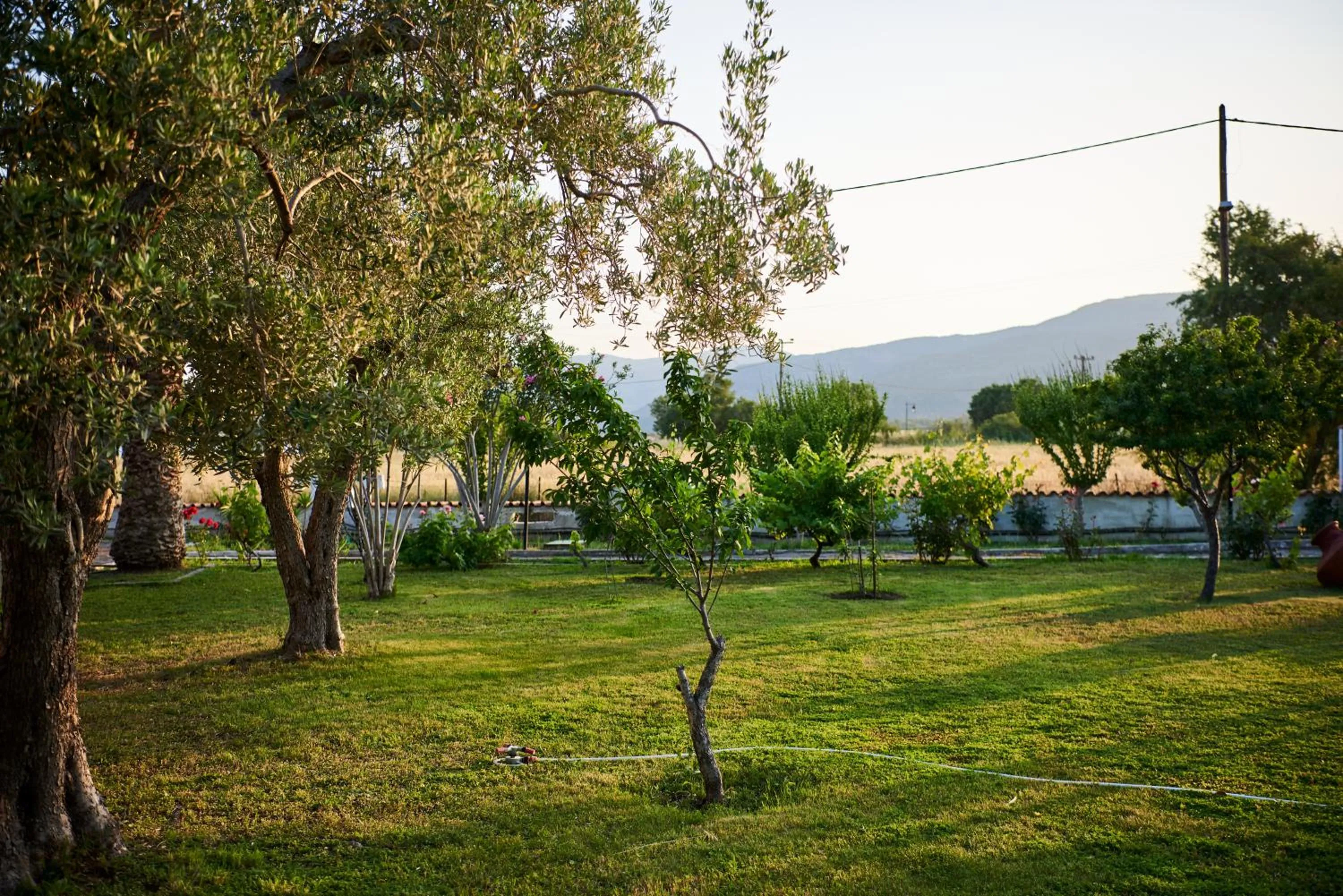 Natural landscape in Kalloni Bay