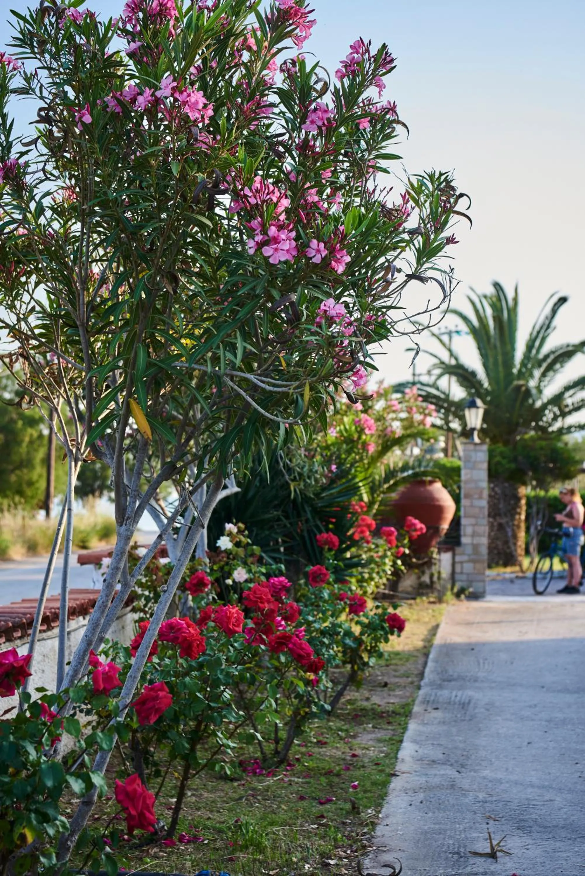 Natural landscape in Kalloni Bay