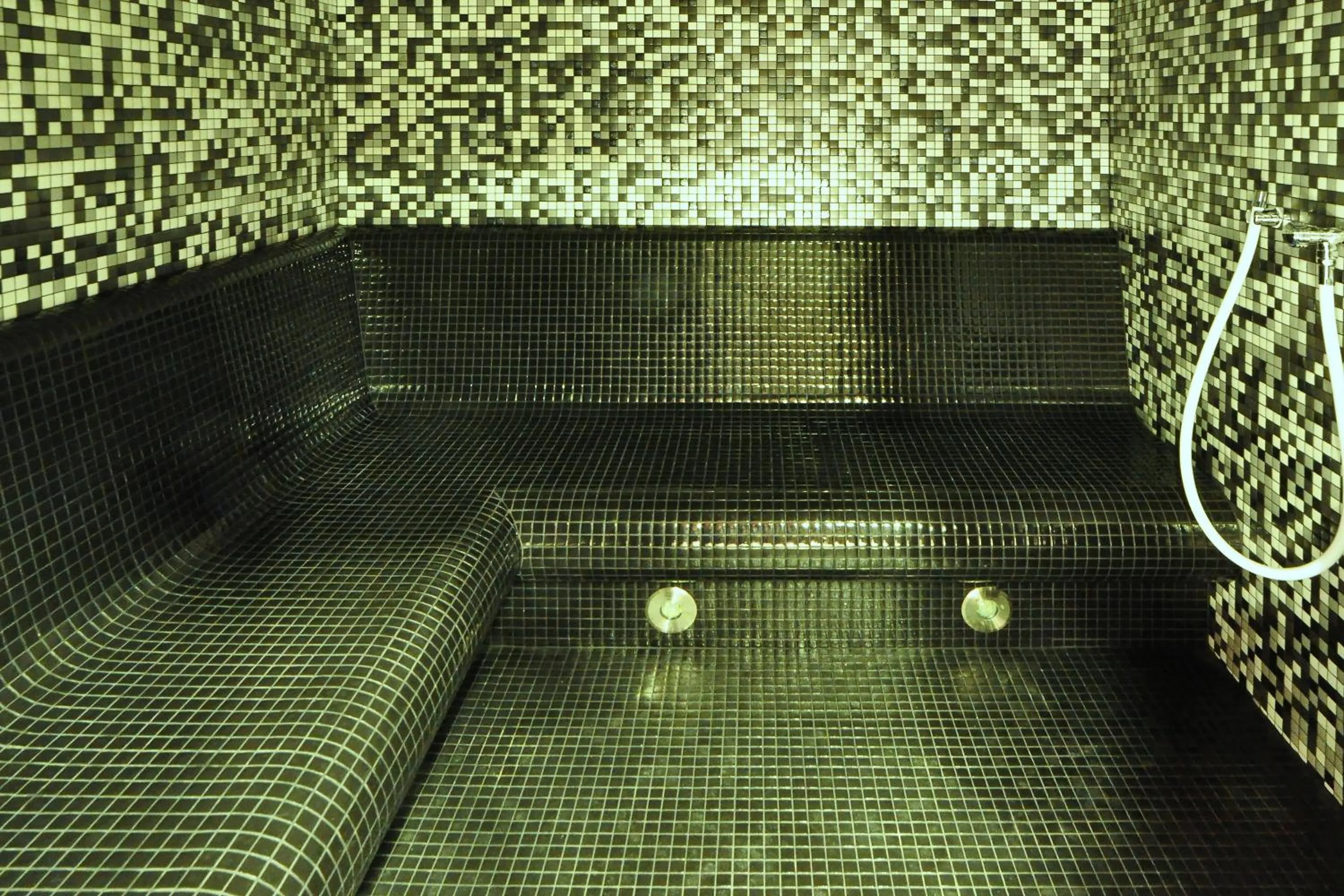 Steam room in Hotel Veba
