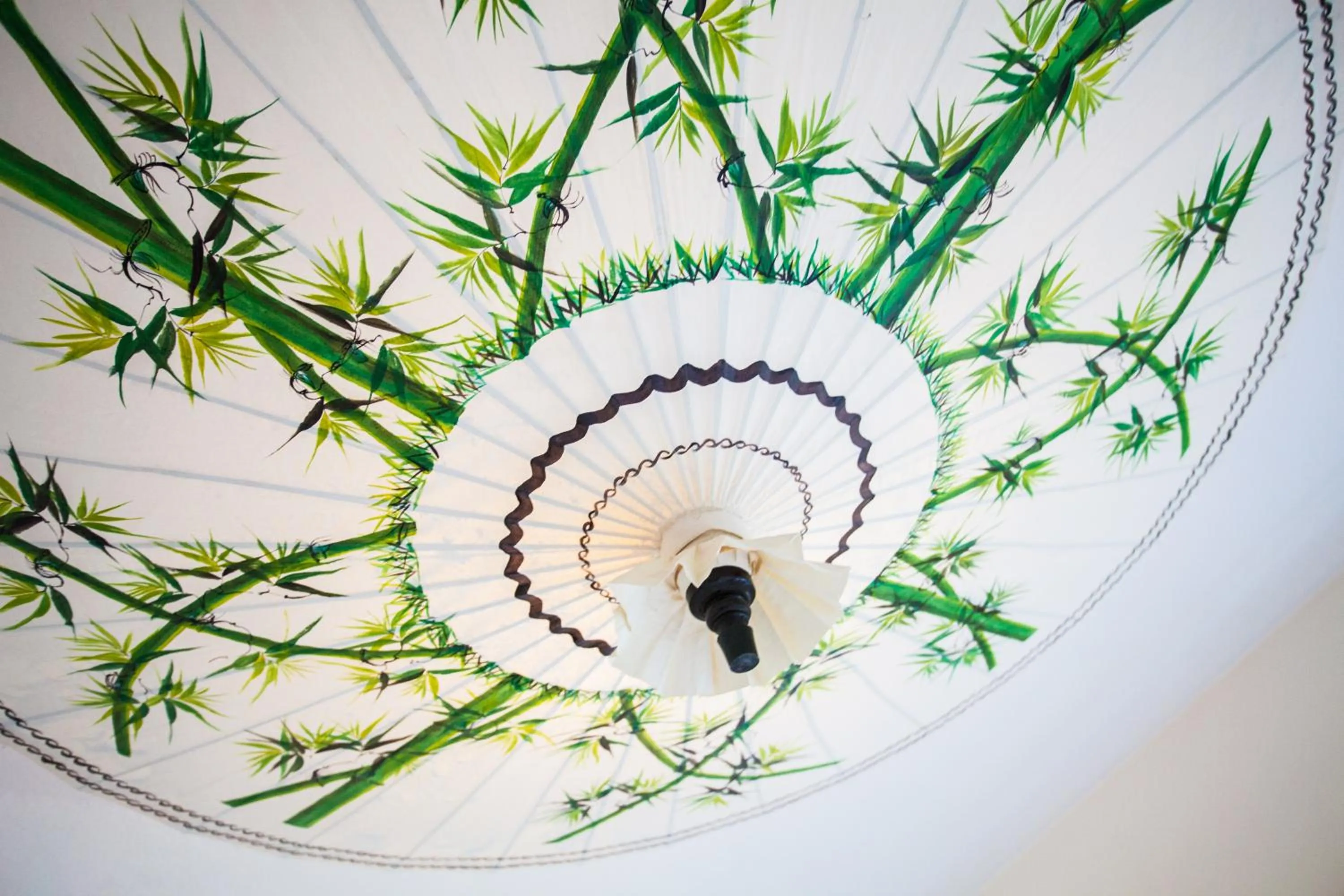 Photo of the whole room in Labyrinth Hostel Weimar