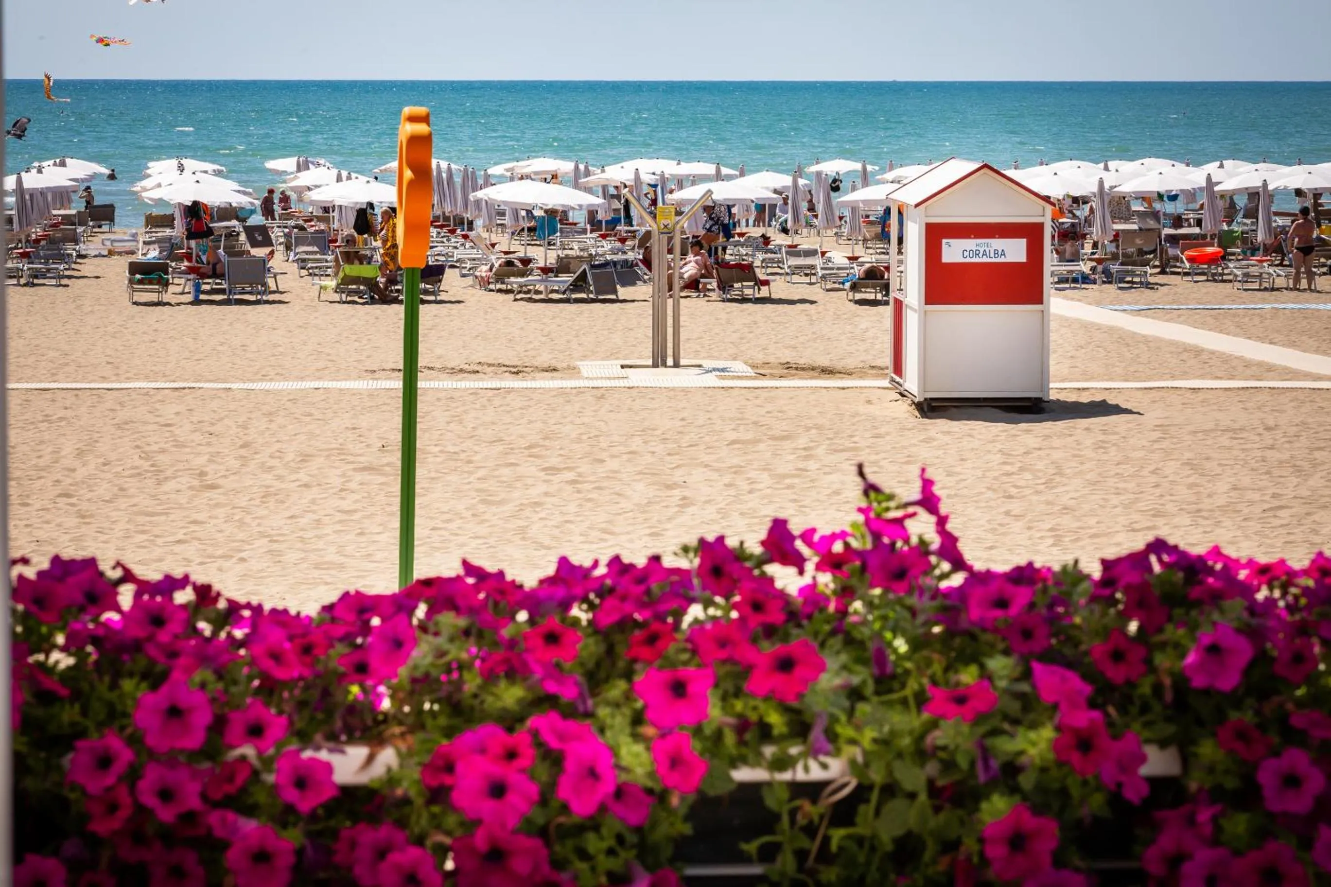 Beach in Hotel Coralba