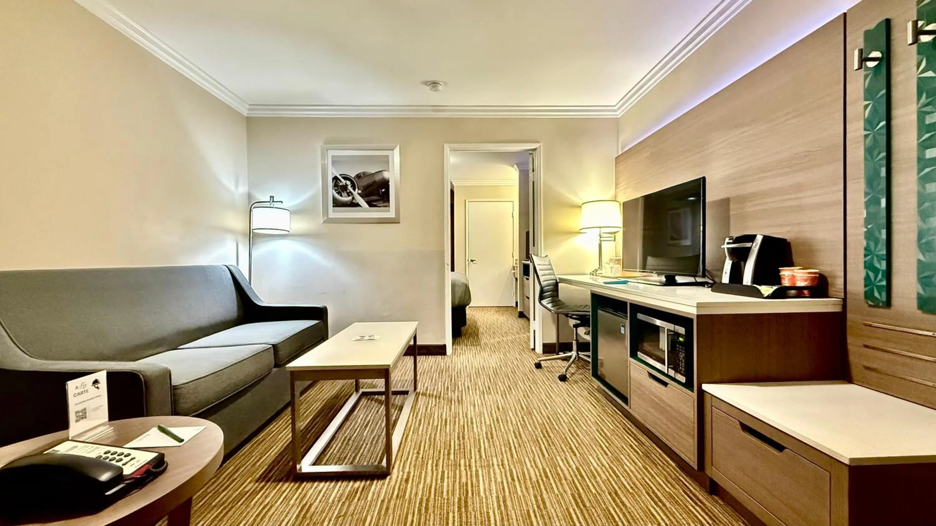 TV and multimedia in Quality Inn & Suites Los Angeles Airport - LAX