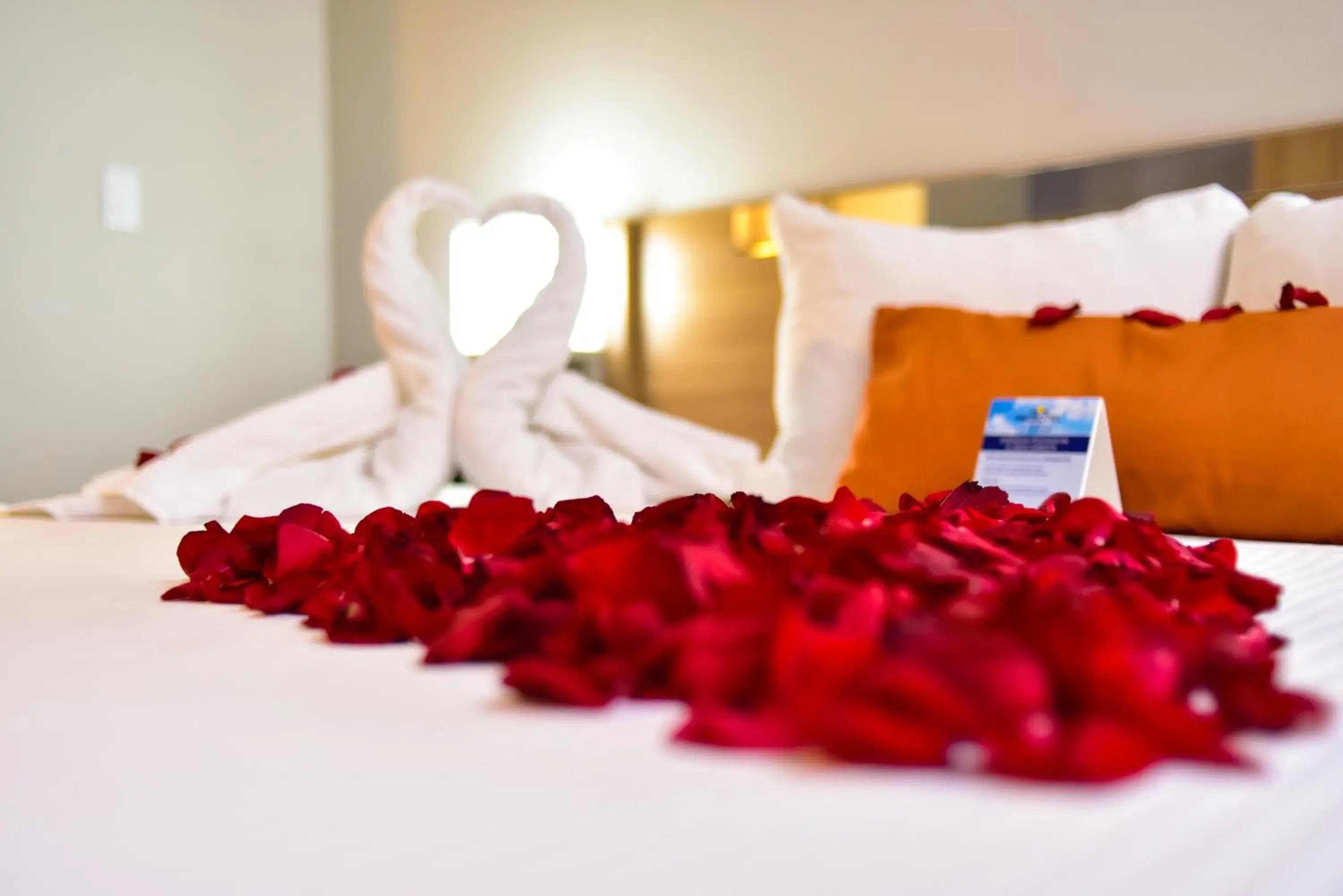 Decorative detail, Bed in Microtel Inn & Suites by Wyndham Cuauhtemoc Campos Menonitas Decorative detail, Bed in Microtel Inn & Suites by Wyndham Cuauhtemoc Campos Menonitas