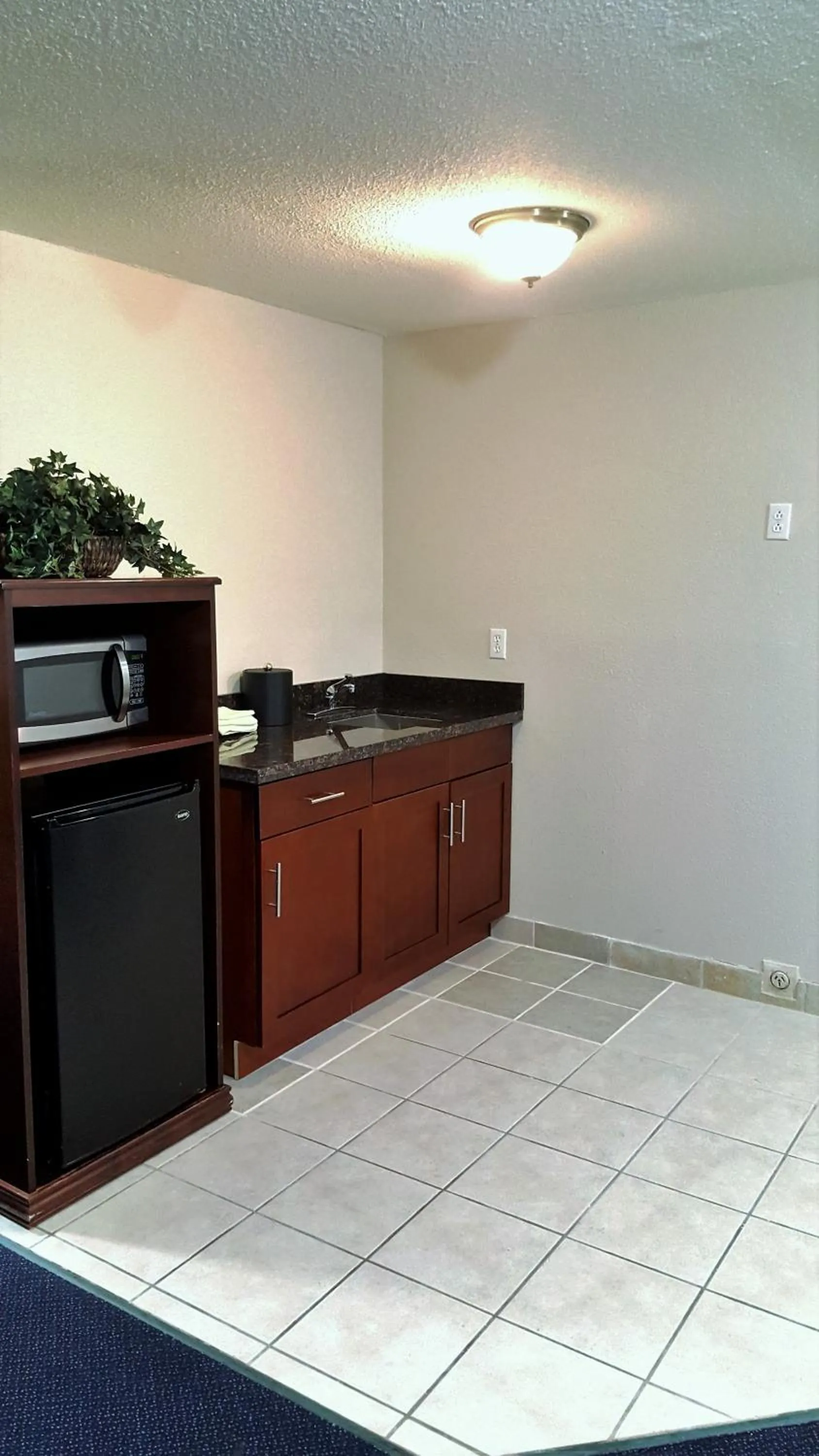 Kitchen or kitchenette in Sutton Suites Hotel