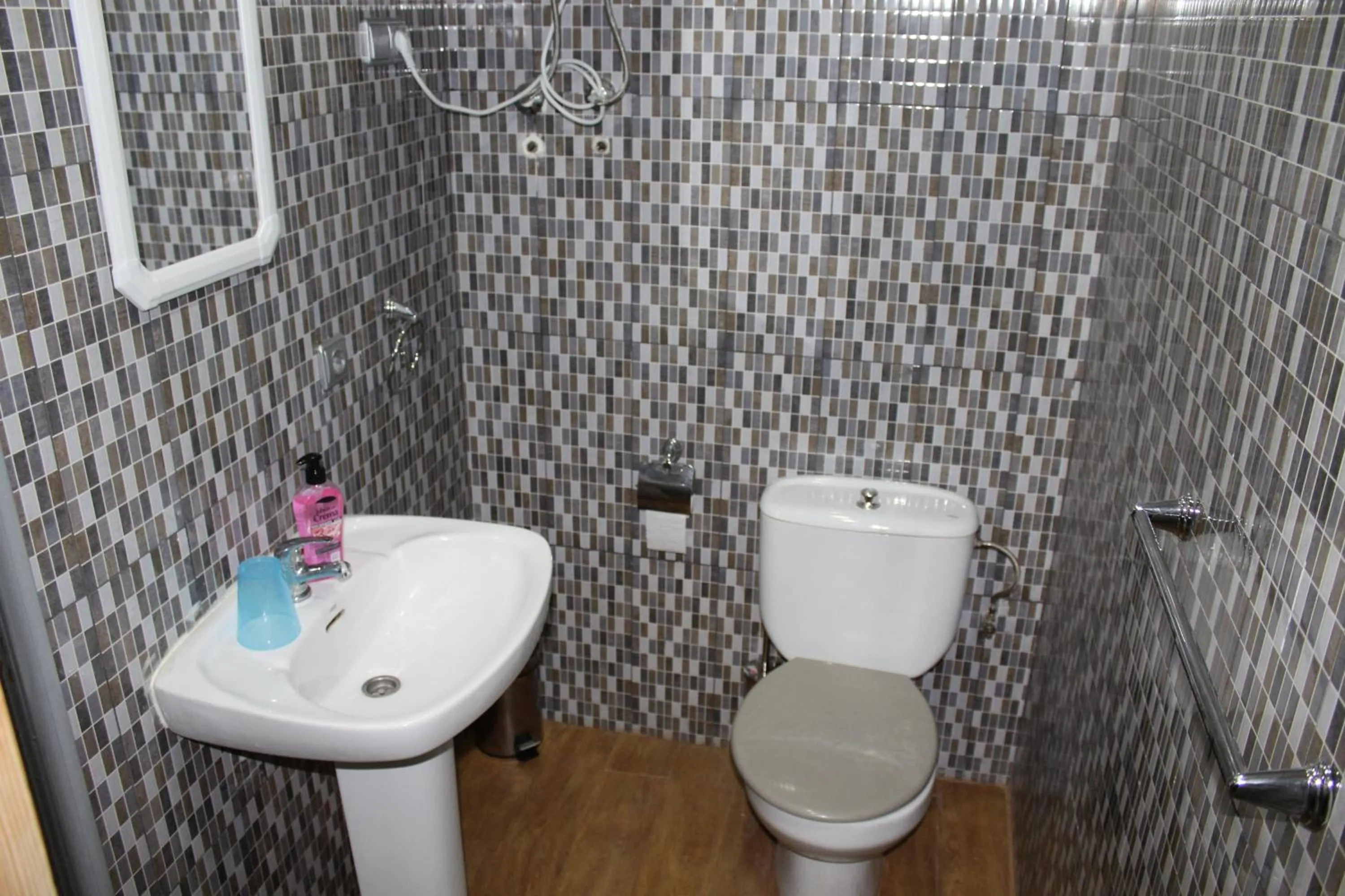 Toilet in Hostal Mayor