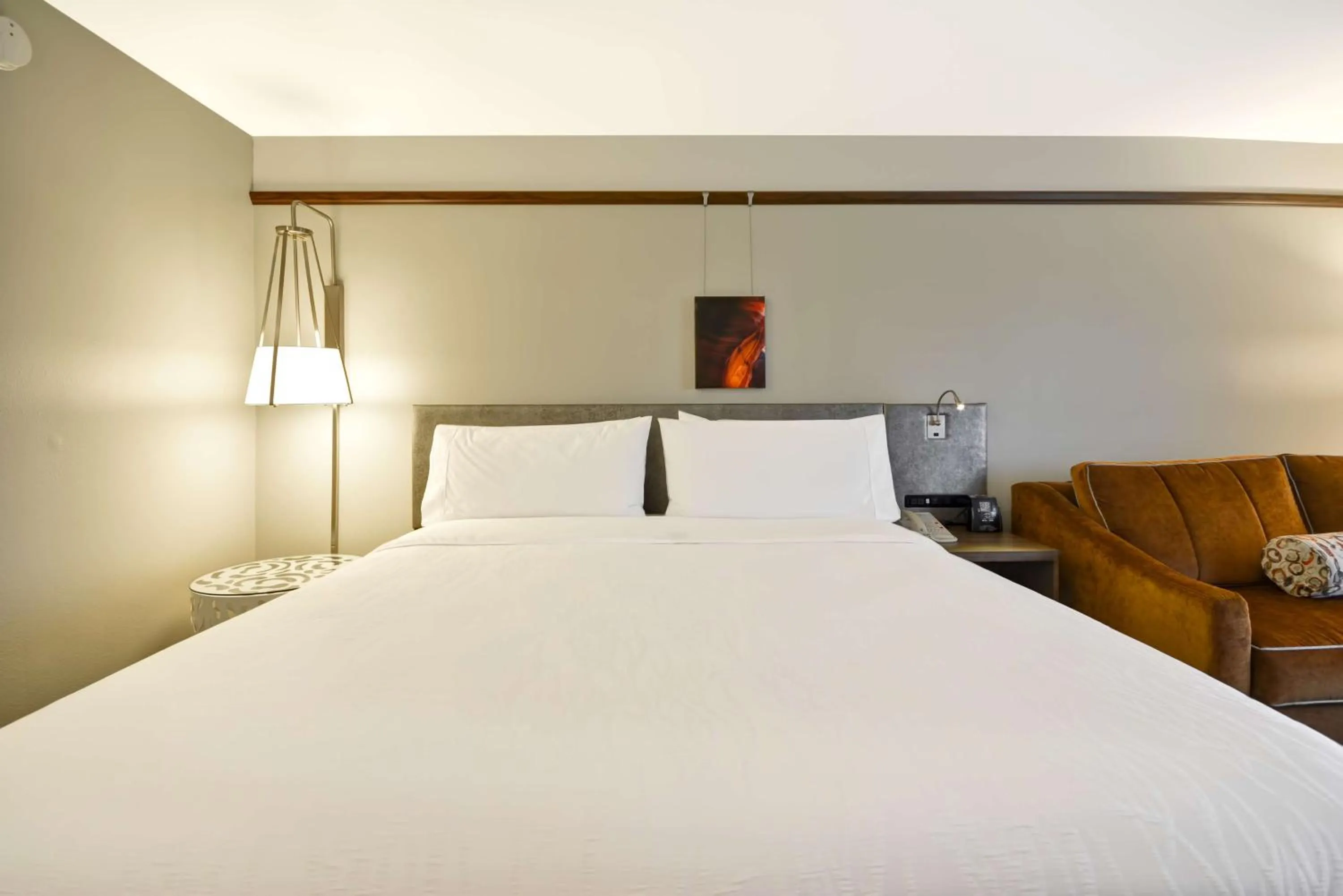 Living room, Bed in Hilton Garden Inn Austin Round Rock