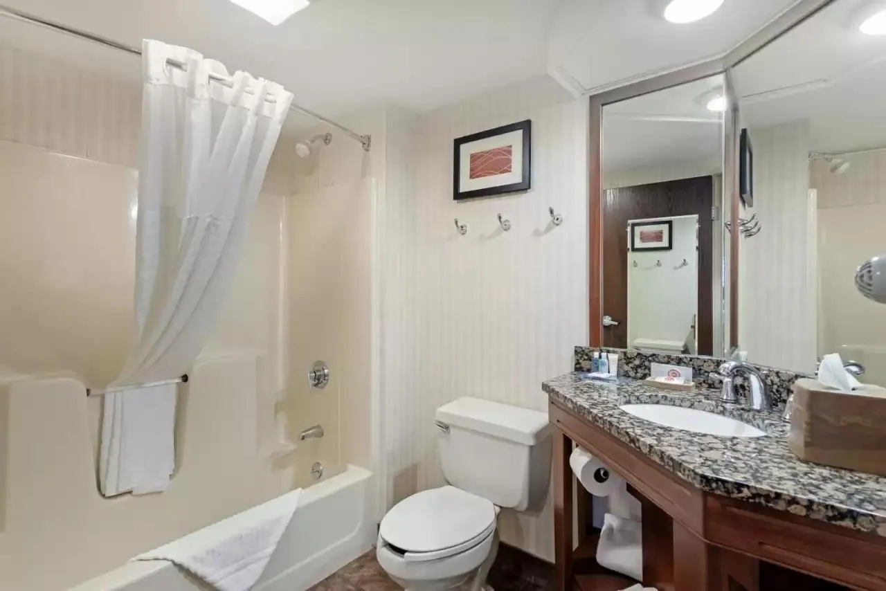 Bathroom in Comfort Inn Bangor North