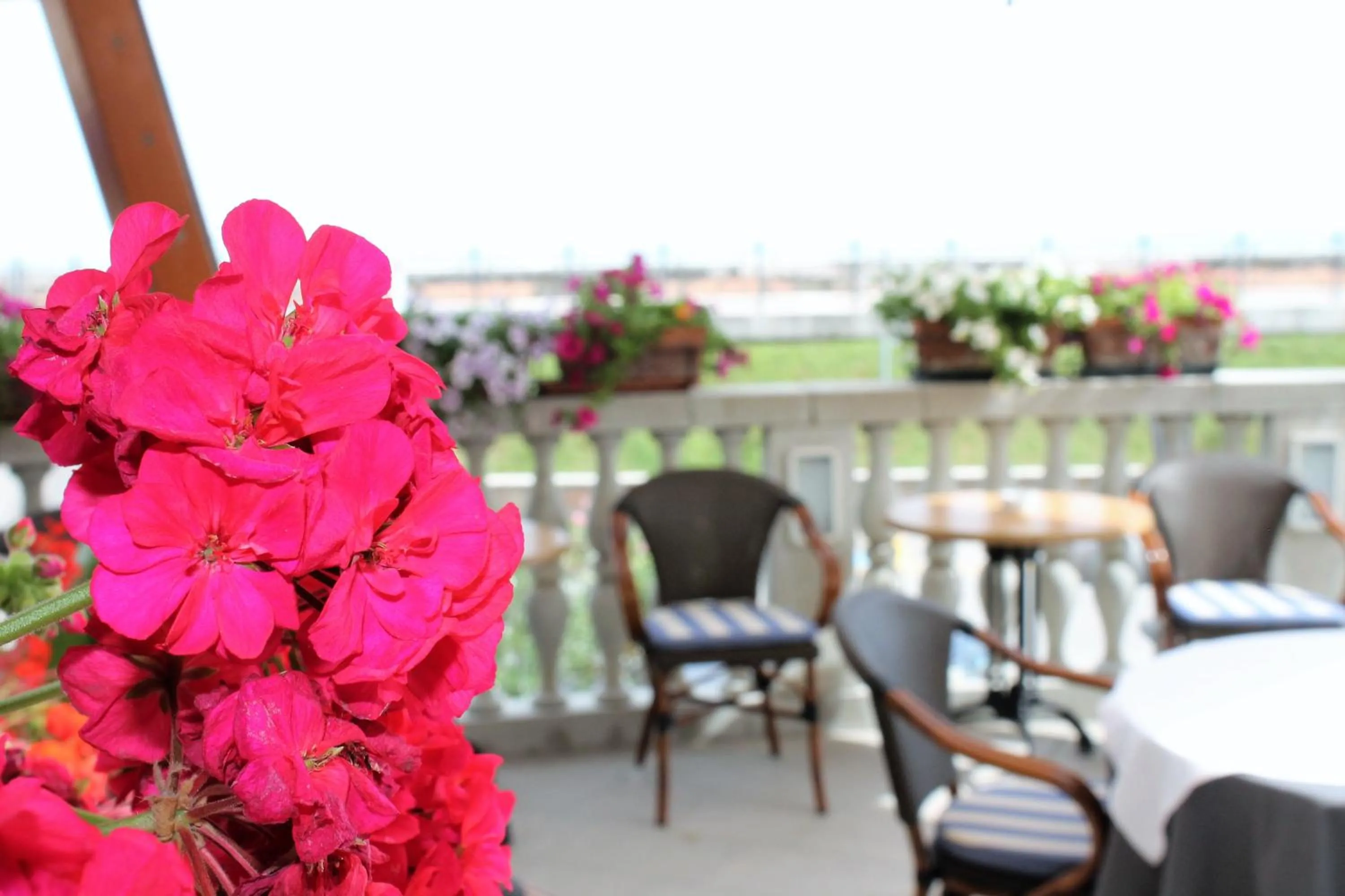 Facade/entrance in Hotel Le Lampare