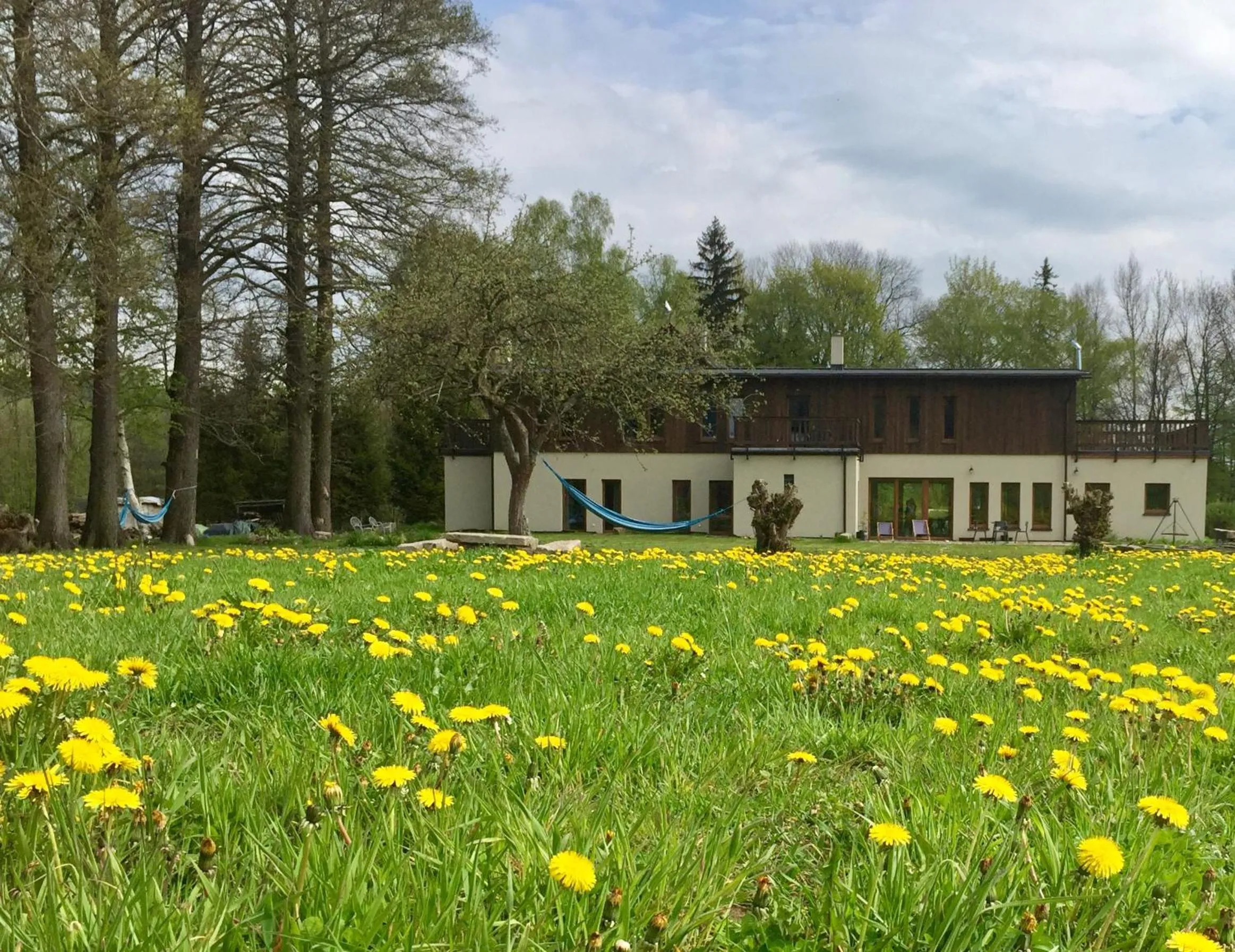 Property building in Centrum Łąkowa 1