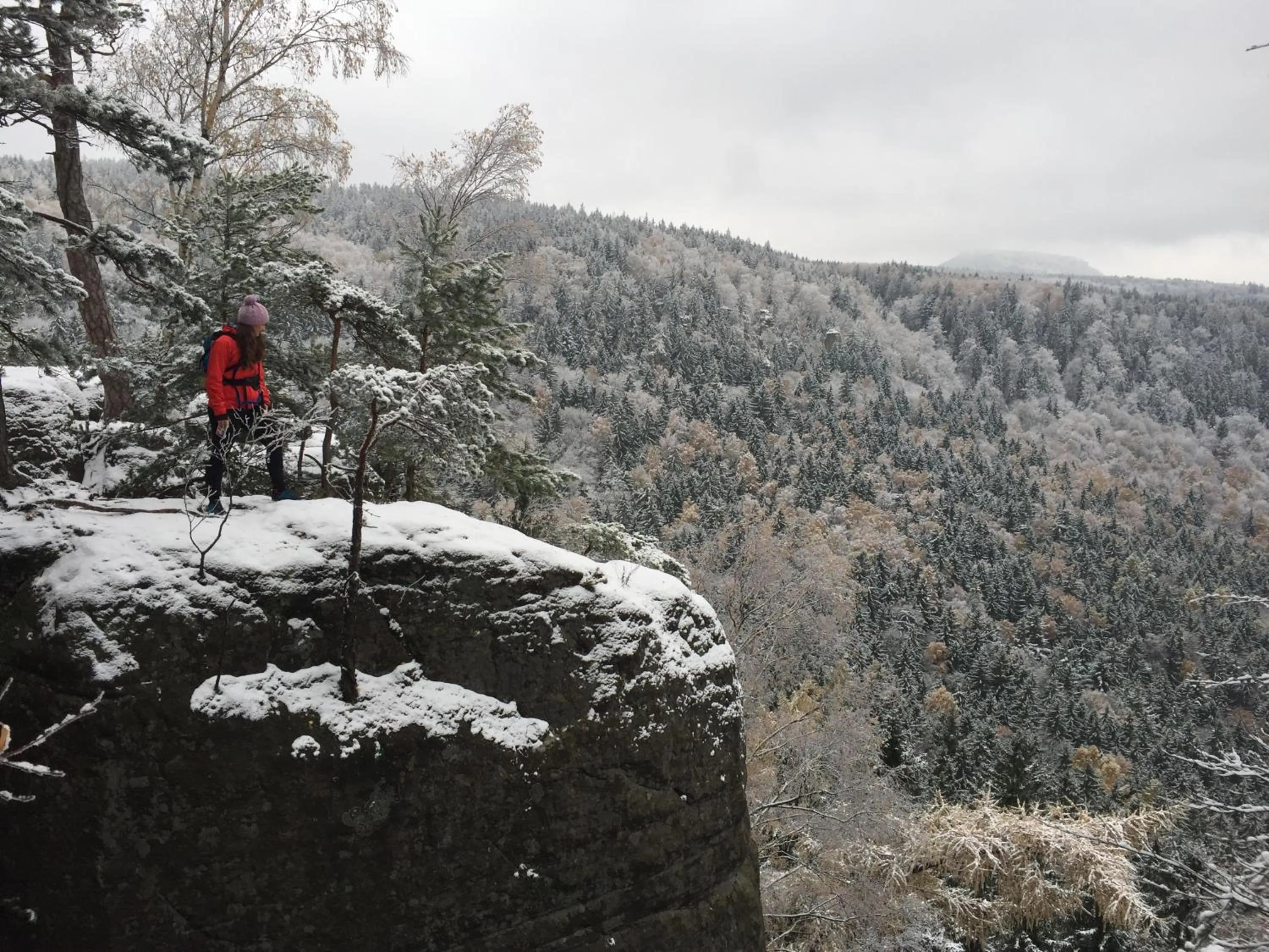 Natural landscape in Centrum Łąkowa 1