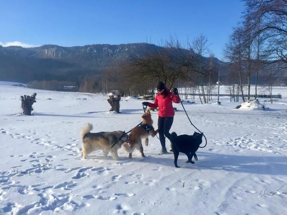 Winter in Centrum Łąkowa 1