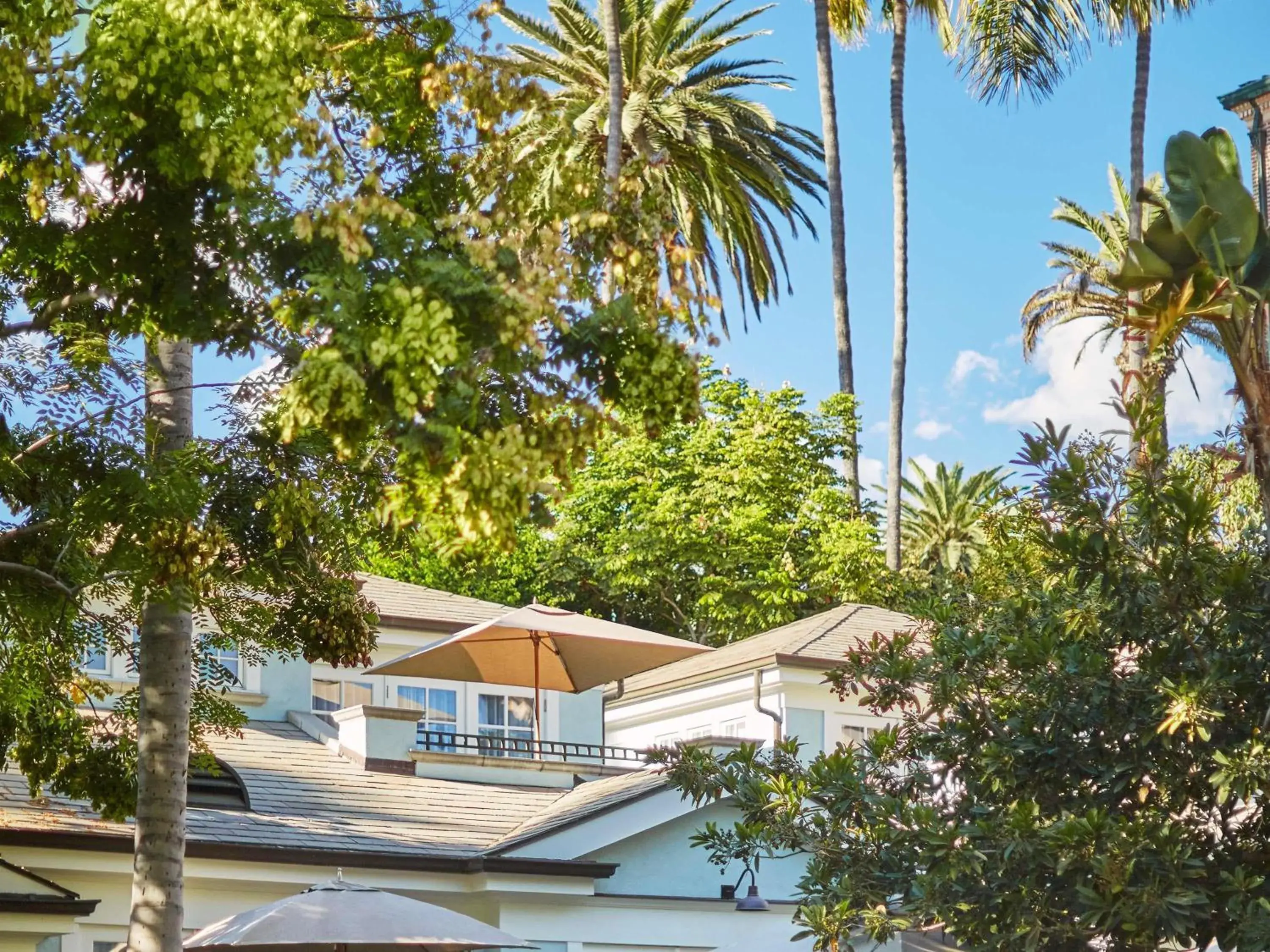 Bedroom in Fairmont Miramar Hotel & Bungalows Bedroom in Fairmont Miramar Hotel & Bungalows