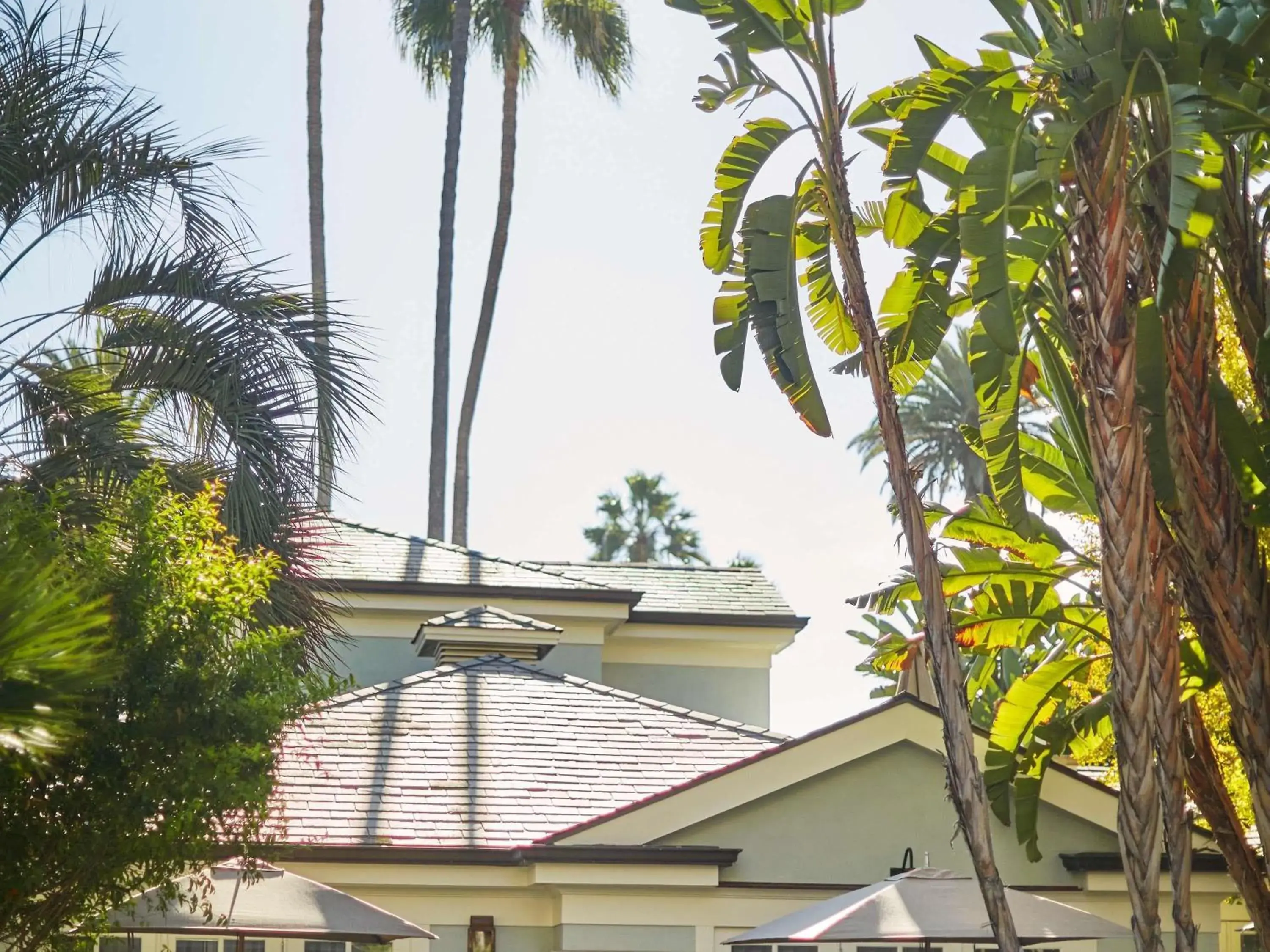Bedroom in Fairmont Miramar Hotel & Bungalows Bedroom in Fairmont Miramar Hotel & Bungalows