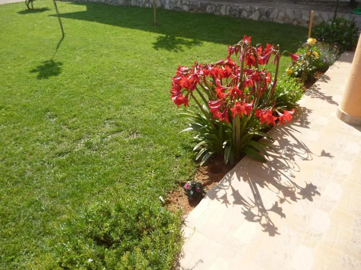 Apartments and rooms Mara i Pavo Medjugorje