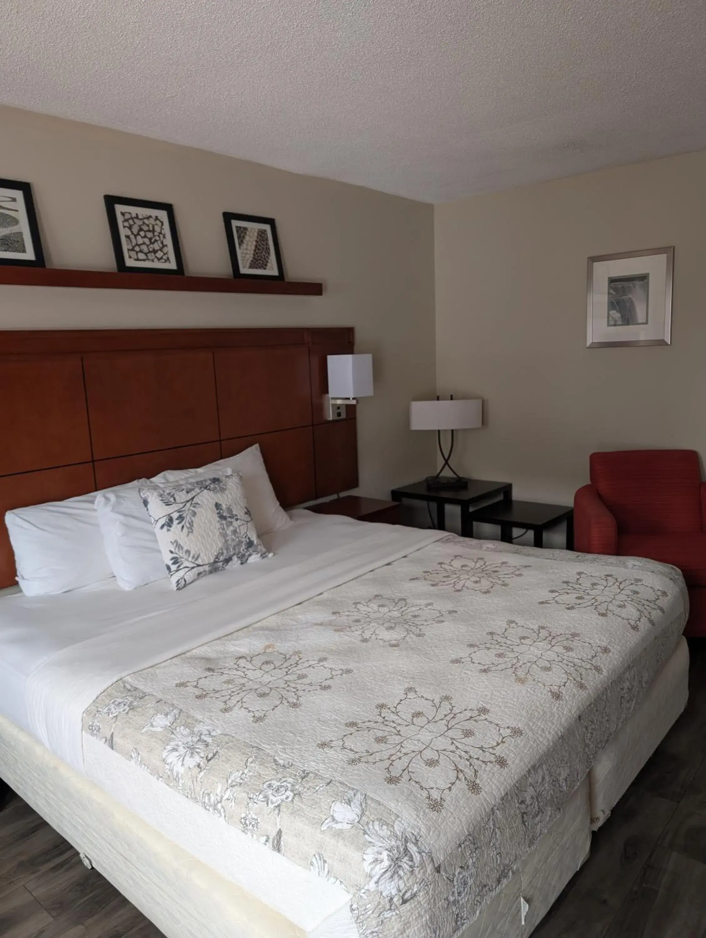 Bed in 7 Nights Stay Bed in 7 Nights Stay