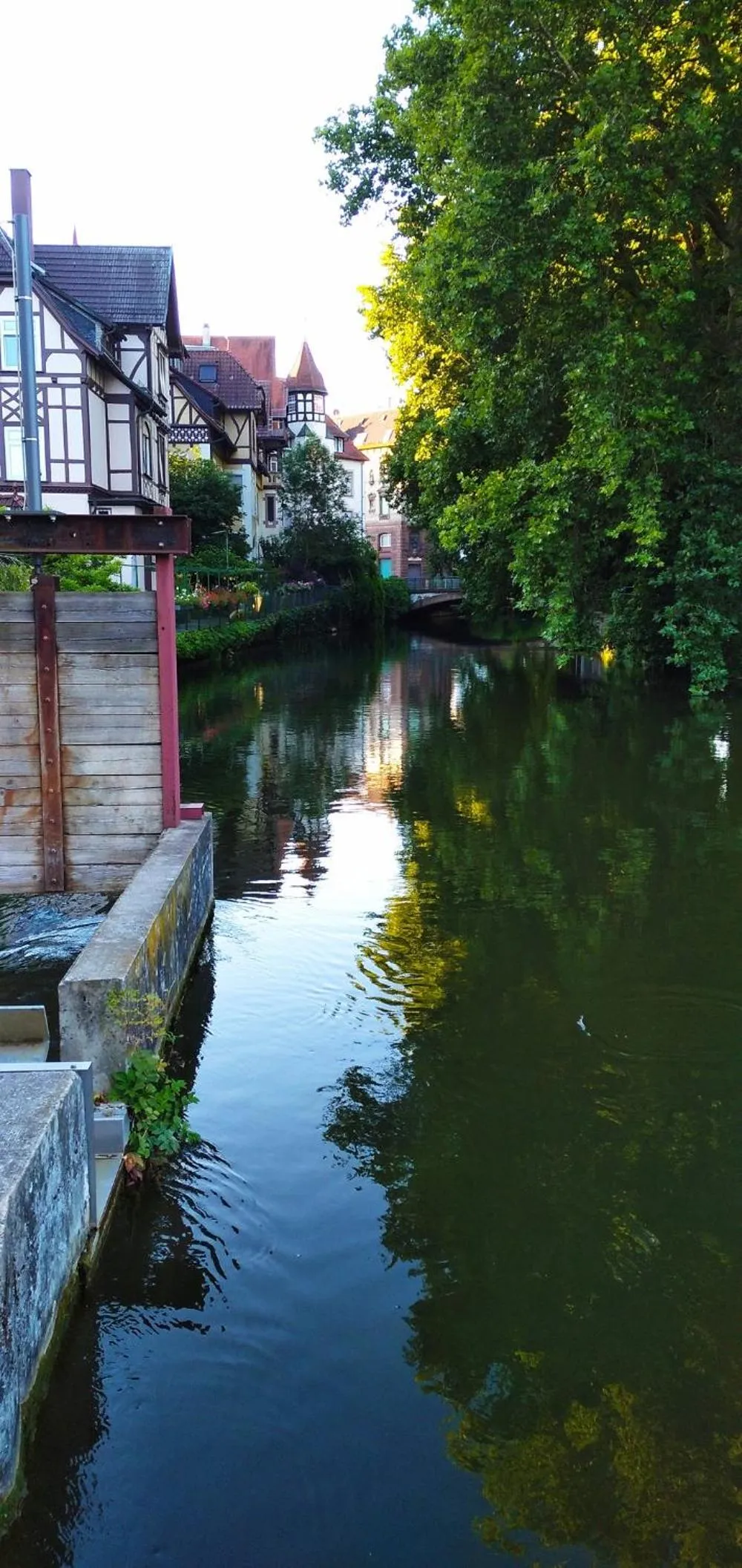 Neighbourhood in Ecoinn