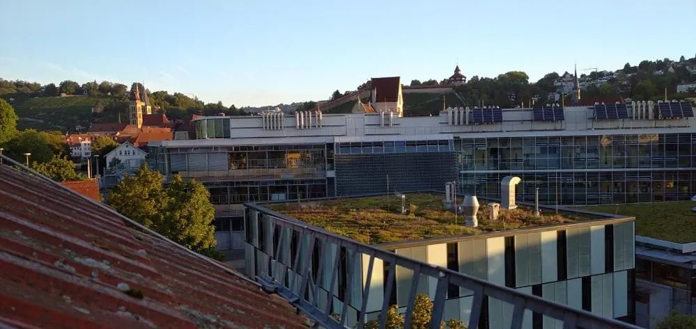 Neighbourhood in Ecoinn