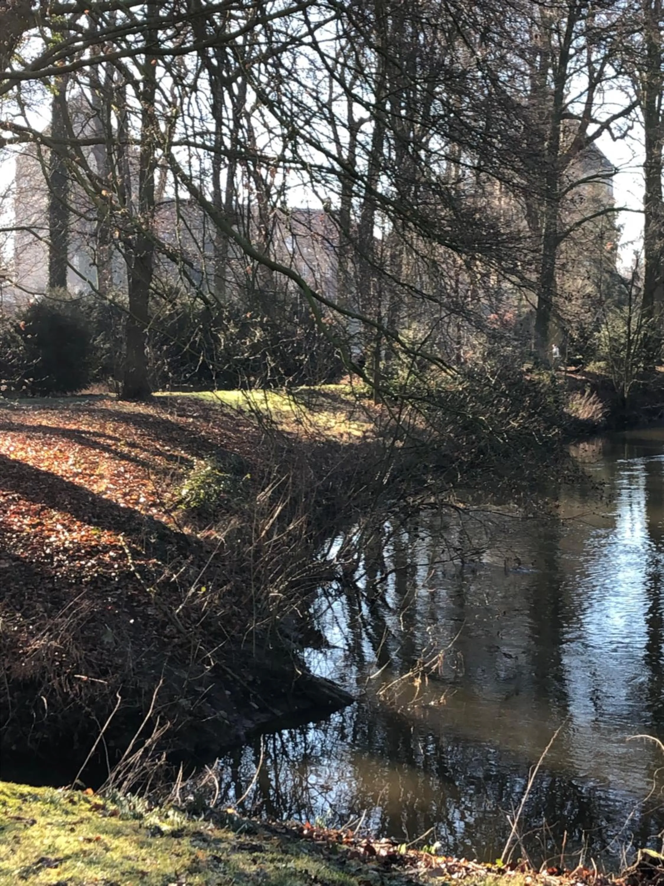 Neighbourhood in König`s Hotel am Schlosspark