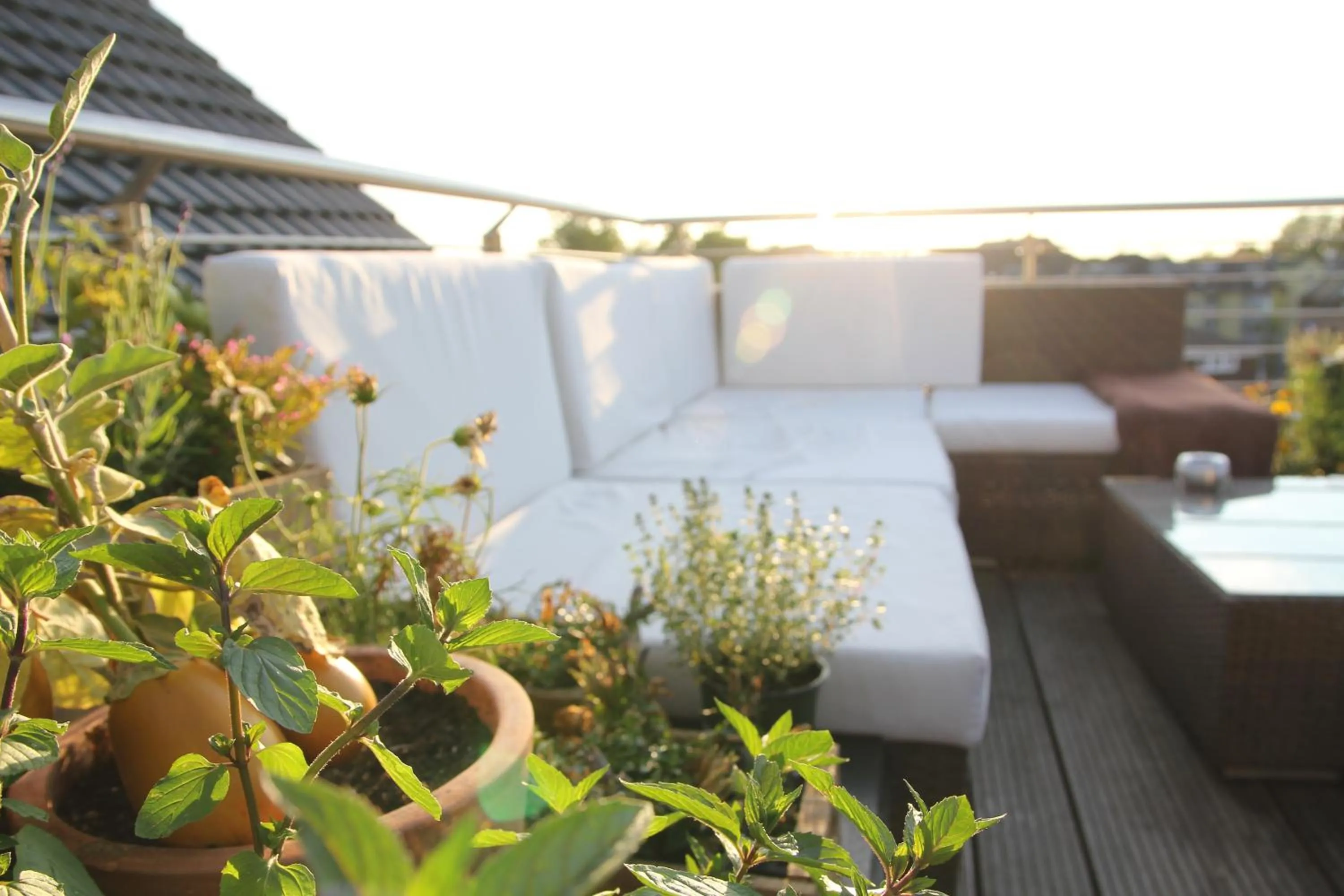 Restaurant/places to eat in König`s Hotel am Schlosspark