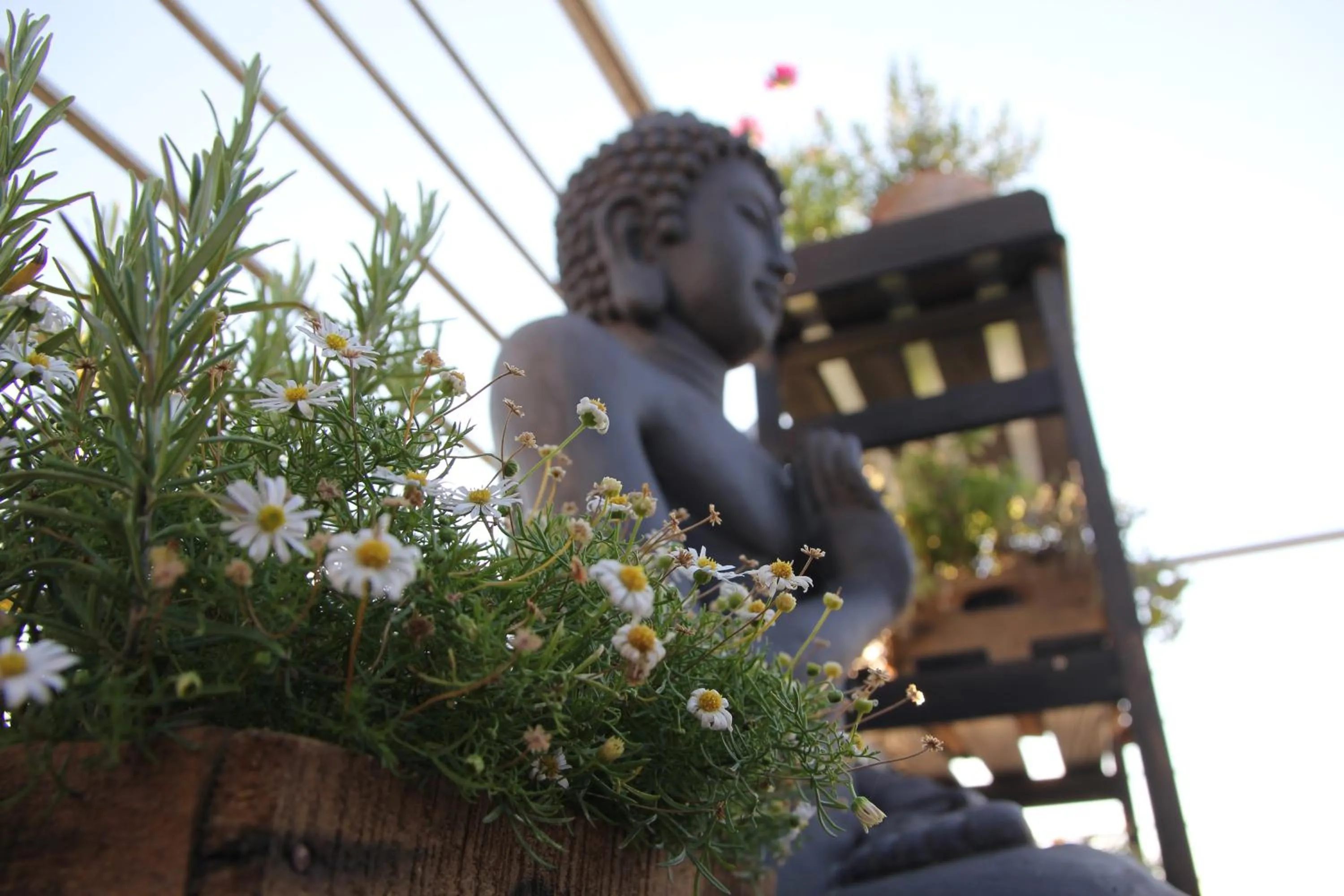 Area and facilities in König`s Hotel am Schlosspark