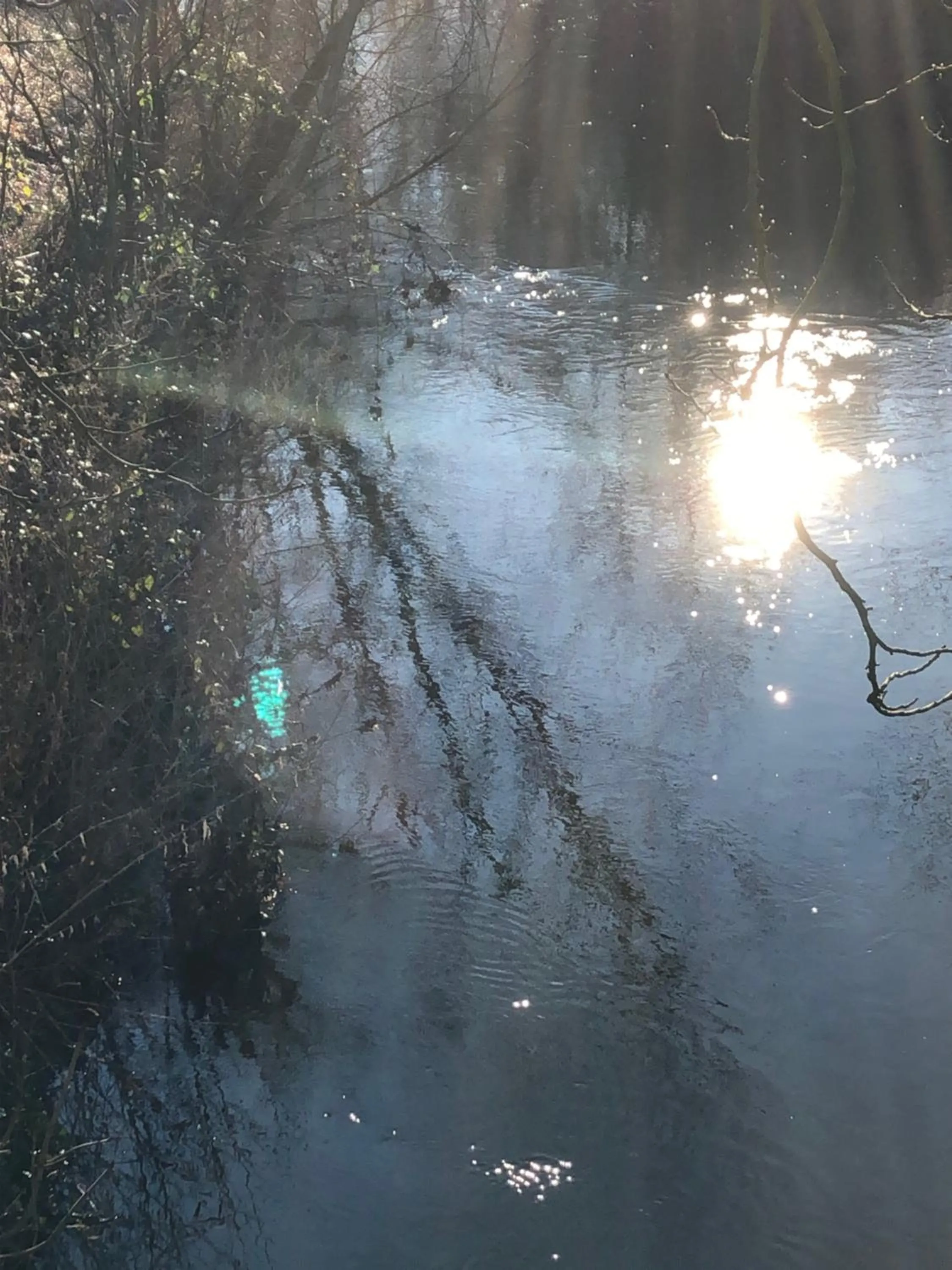 Nearby landmark in König`s Hotel am Schlosspark
