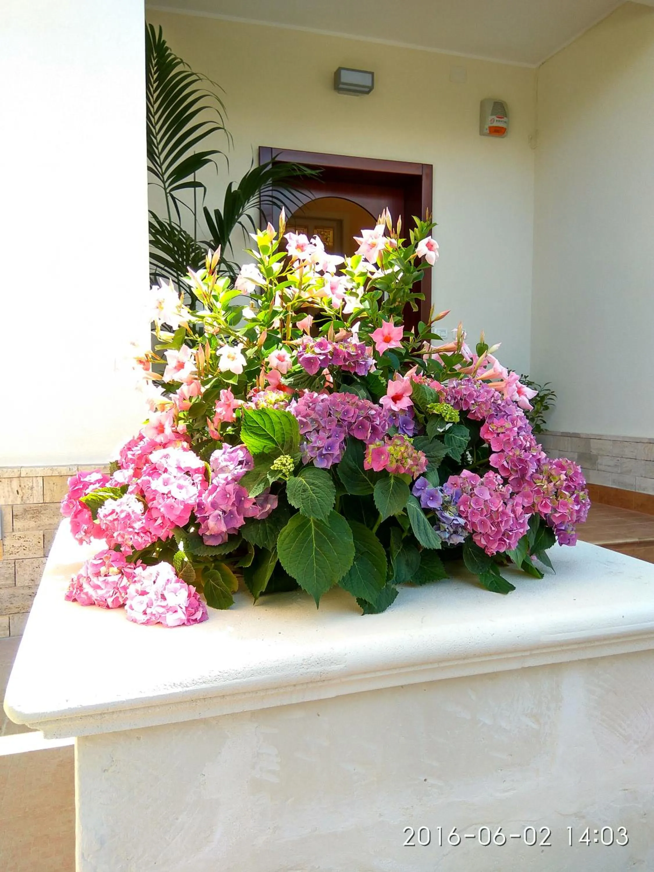 Facade/entrance in Le Camelie