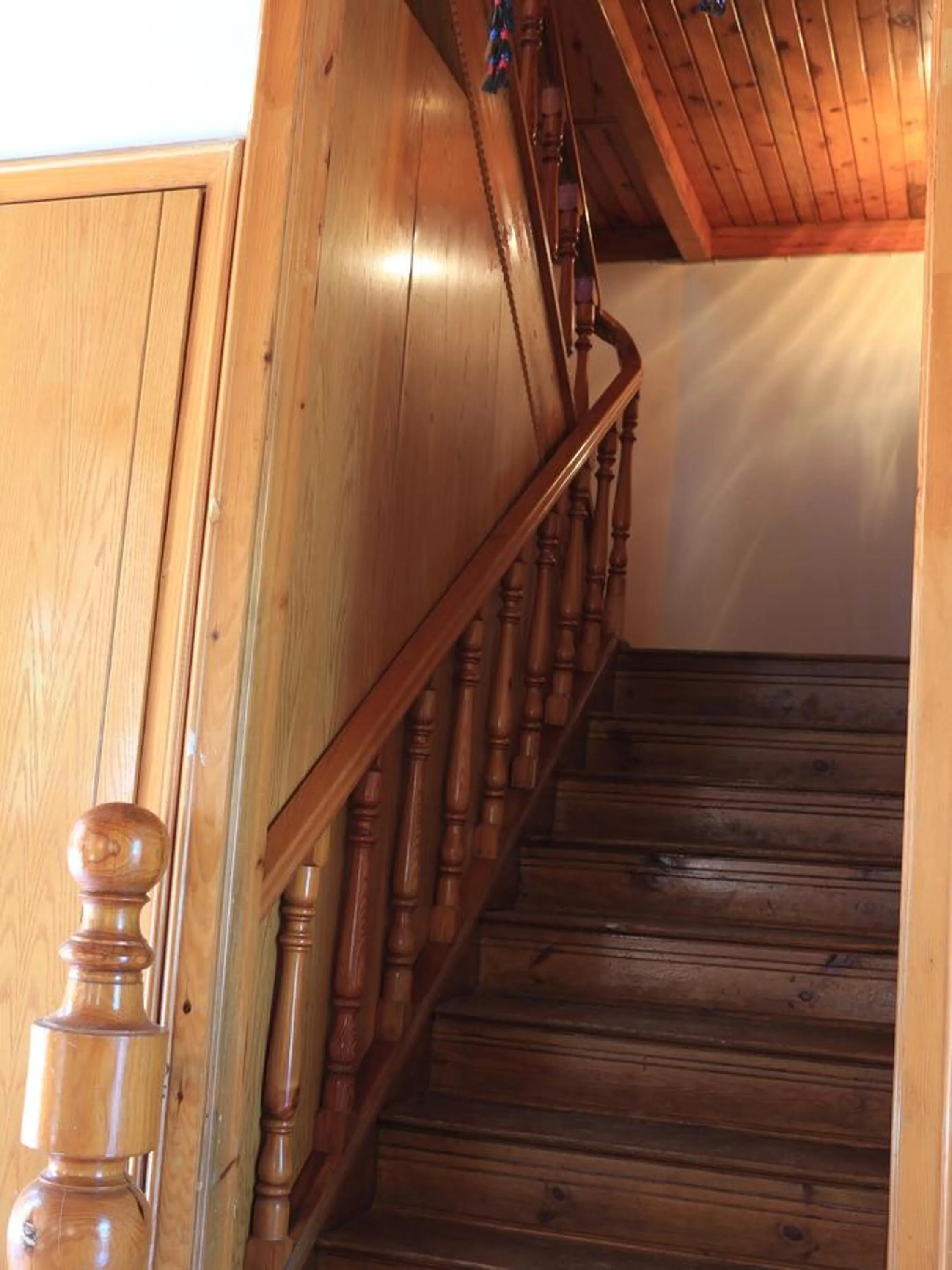 Other in Otel Wood House