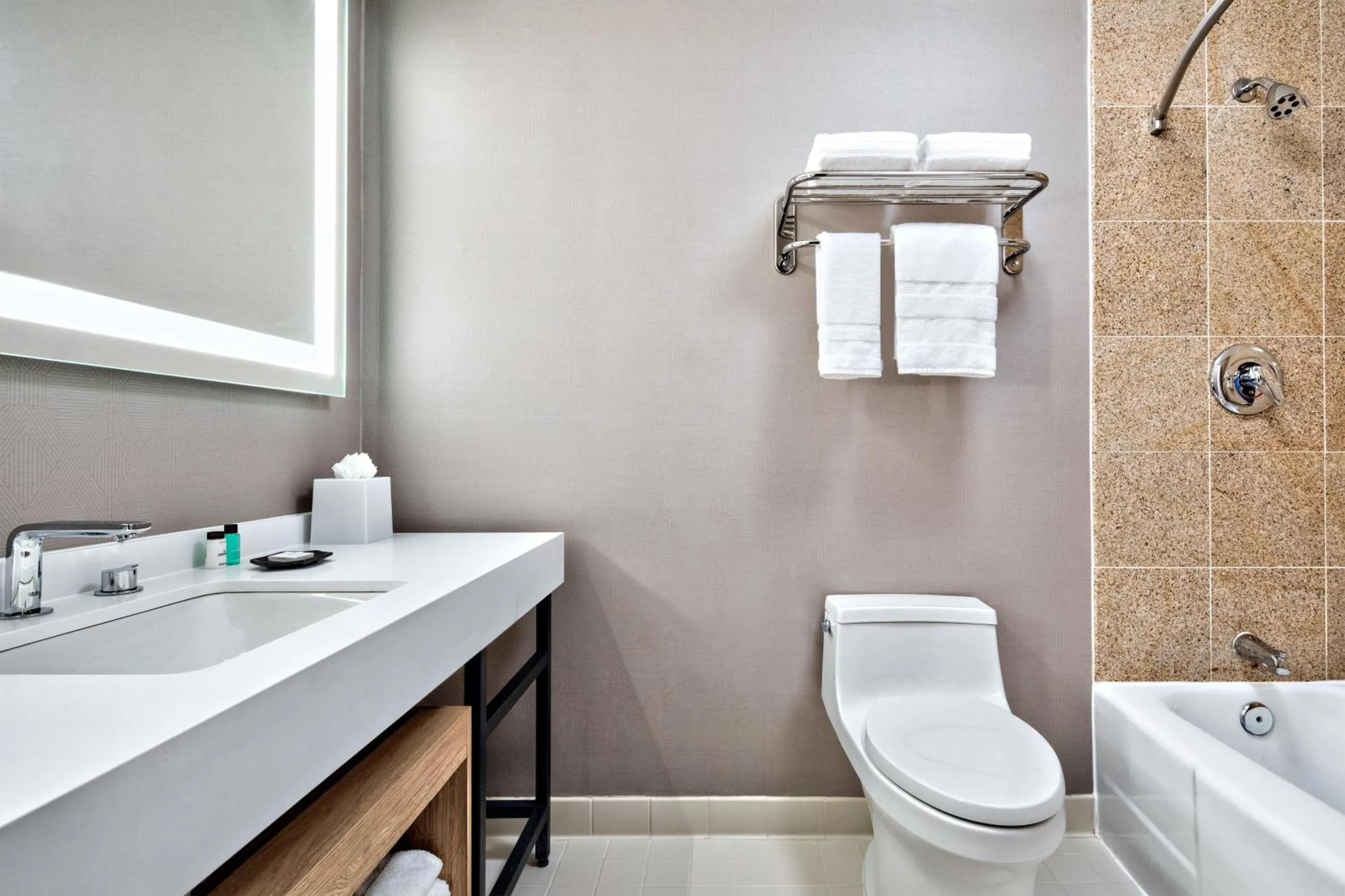 Bathroom in Sheraton Dallas Hotel