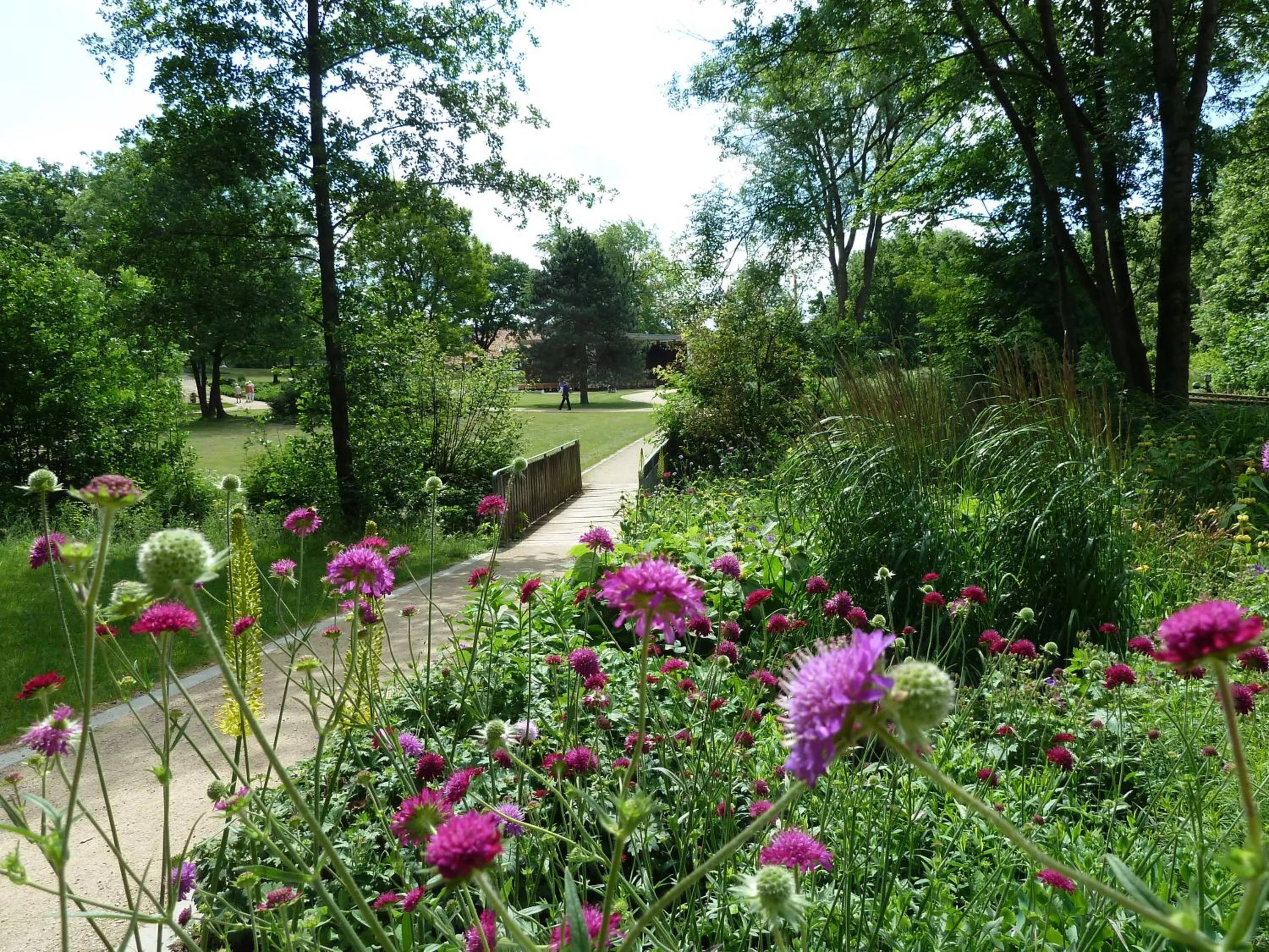 Hiking in Bio-Hotel Melter