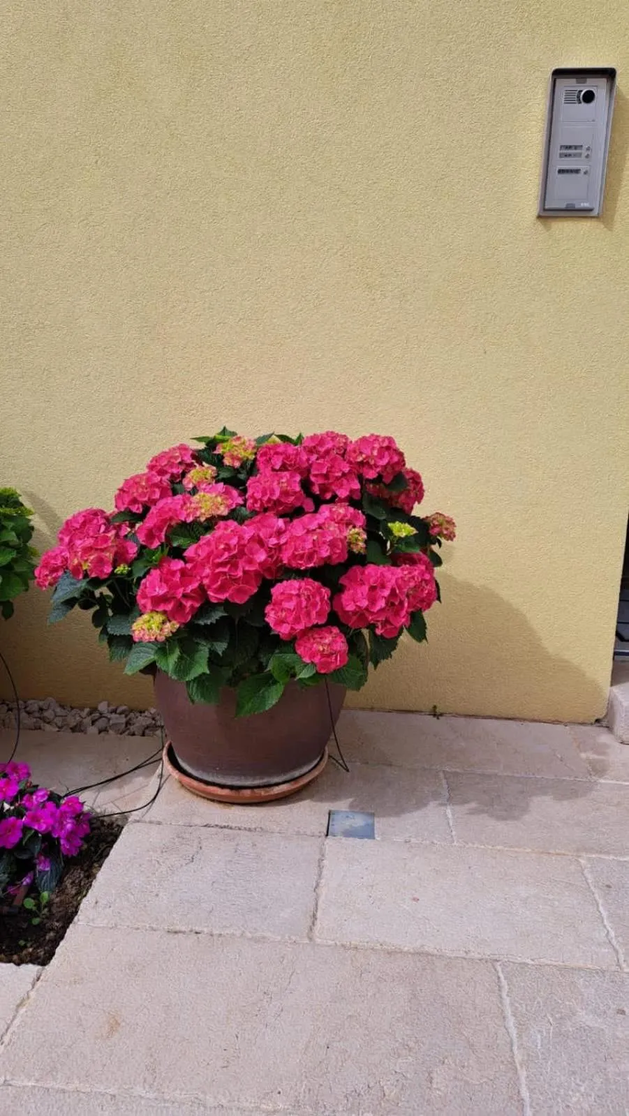 Garden in Navigantes Superior