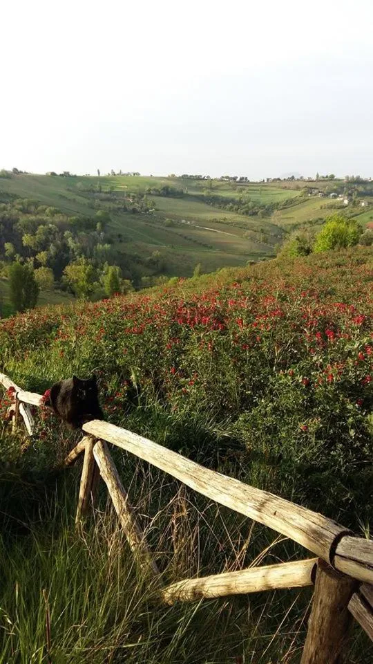 Pets in Locanda San Francesco