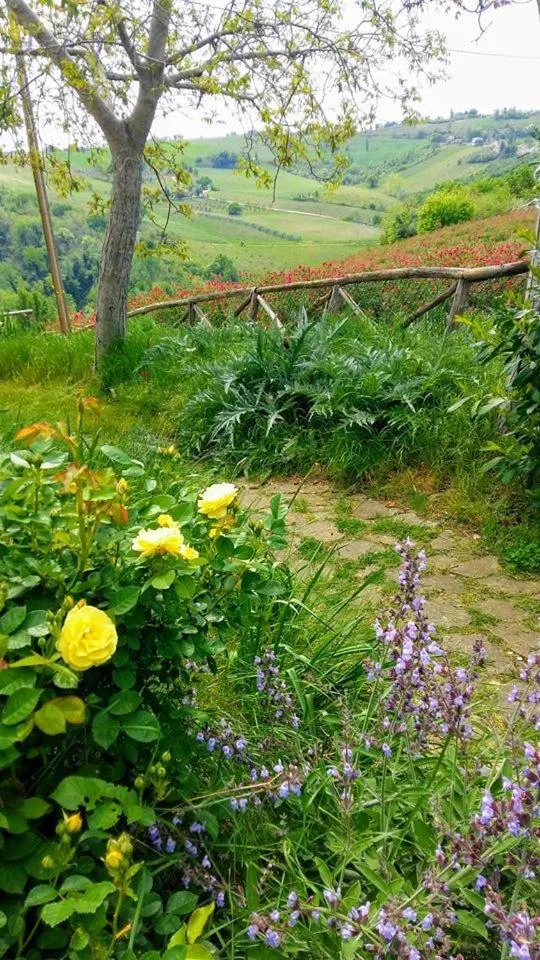 Garden in Locanda San Francesco