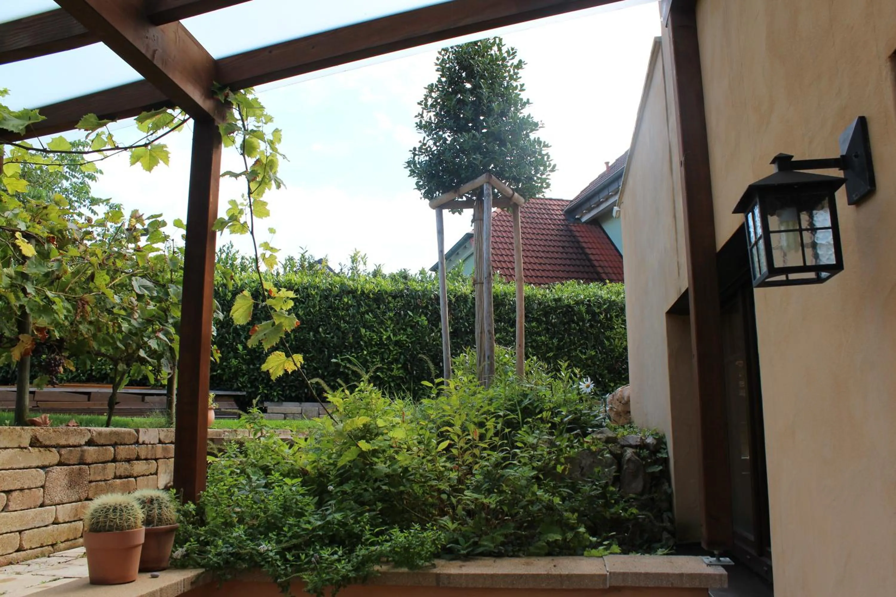 Garden view in Pension Vanii, Apartments