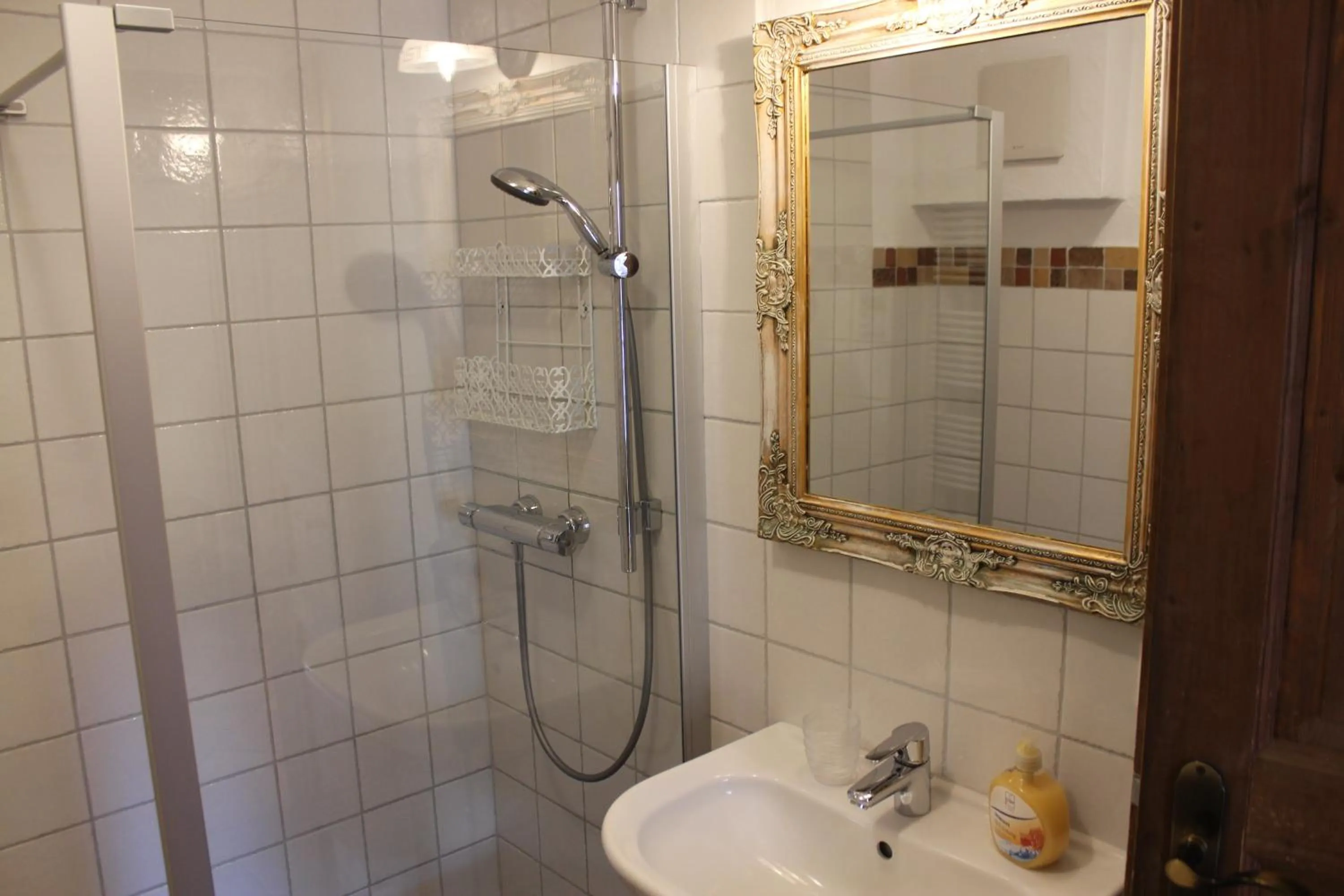 Shower in Pension Vanii, Apartments