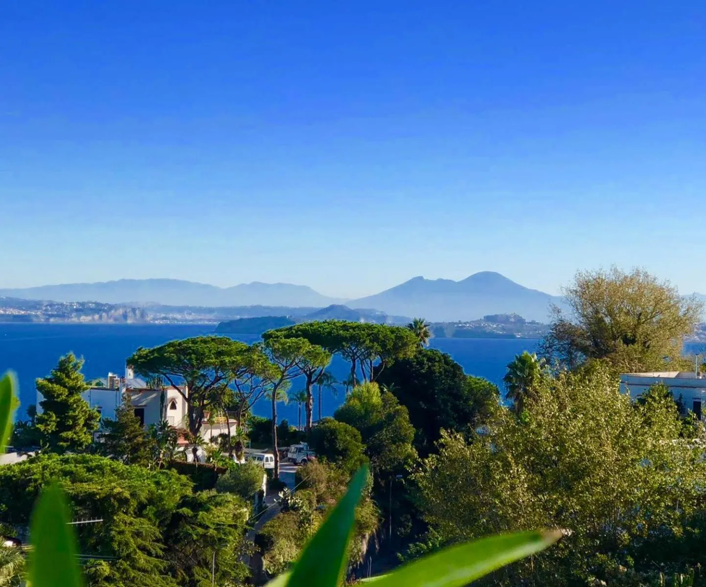 Agapanto Luxury Accommodation