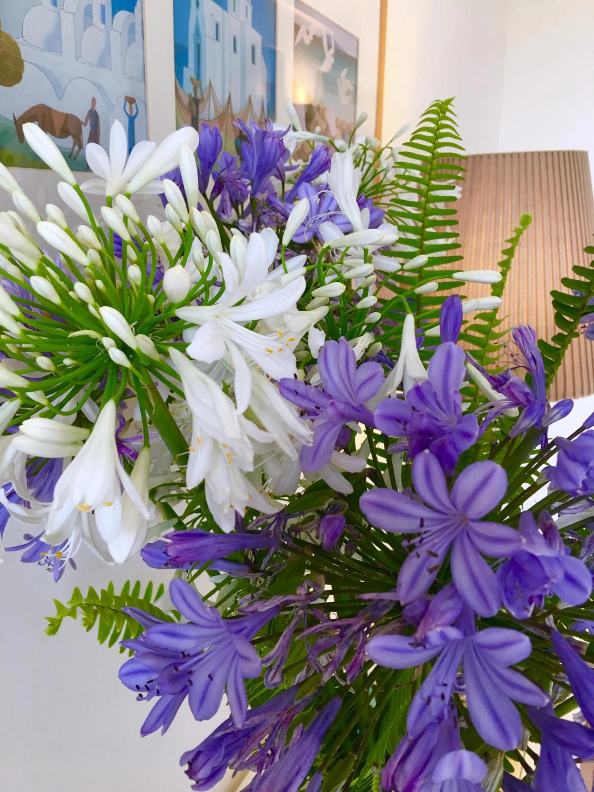 Agapanto Luxury Accommodation