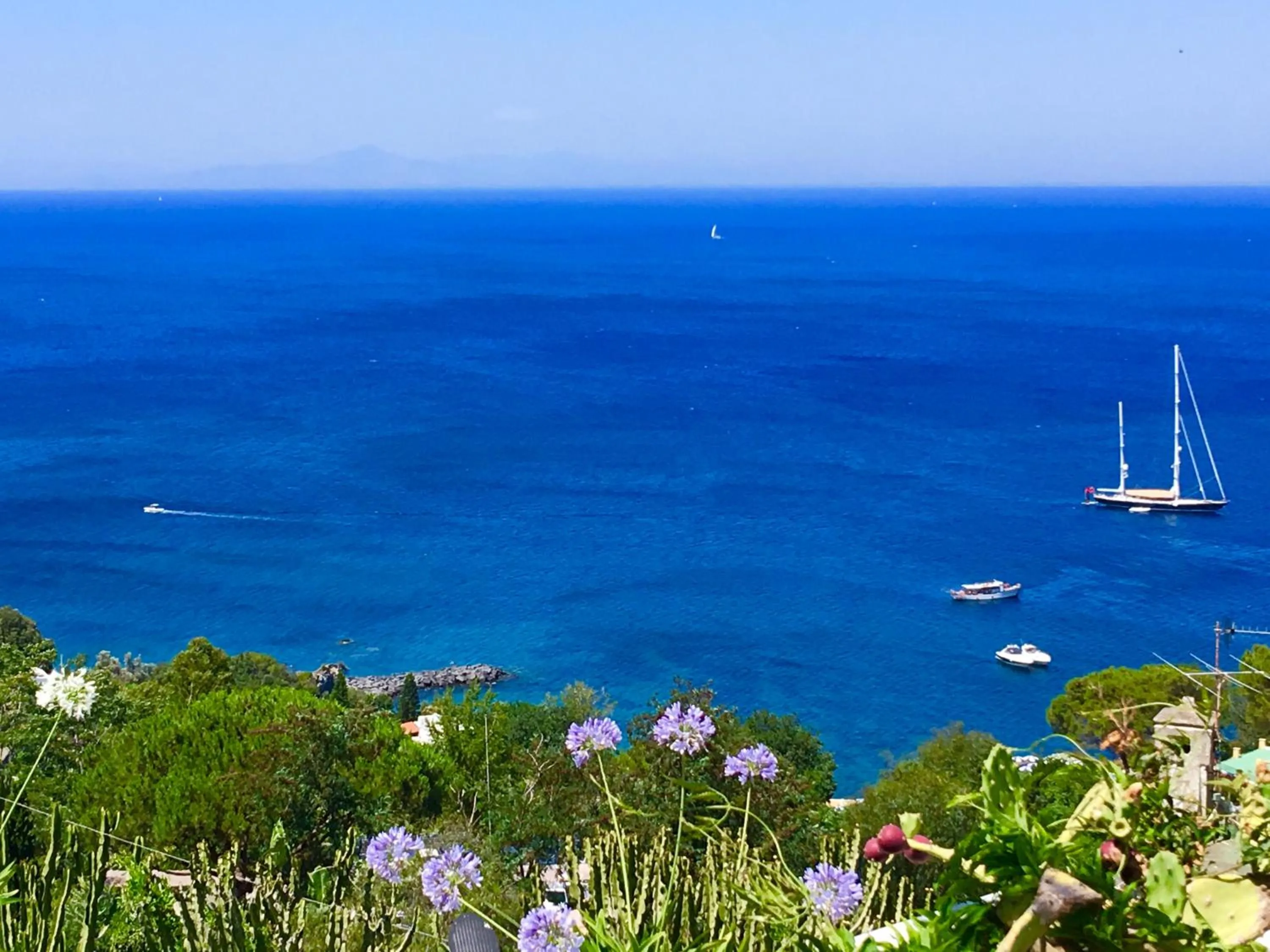 Agapanto Luxury Accommodation