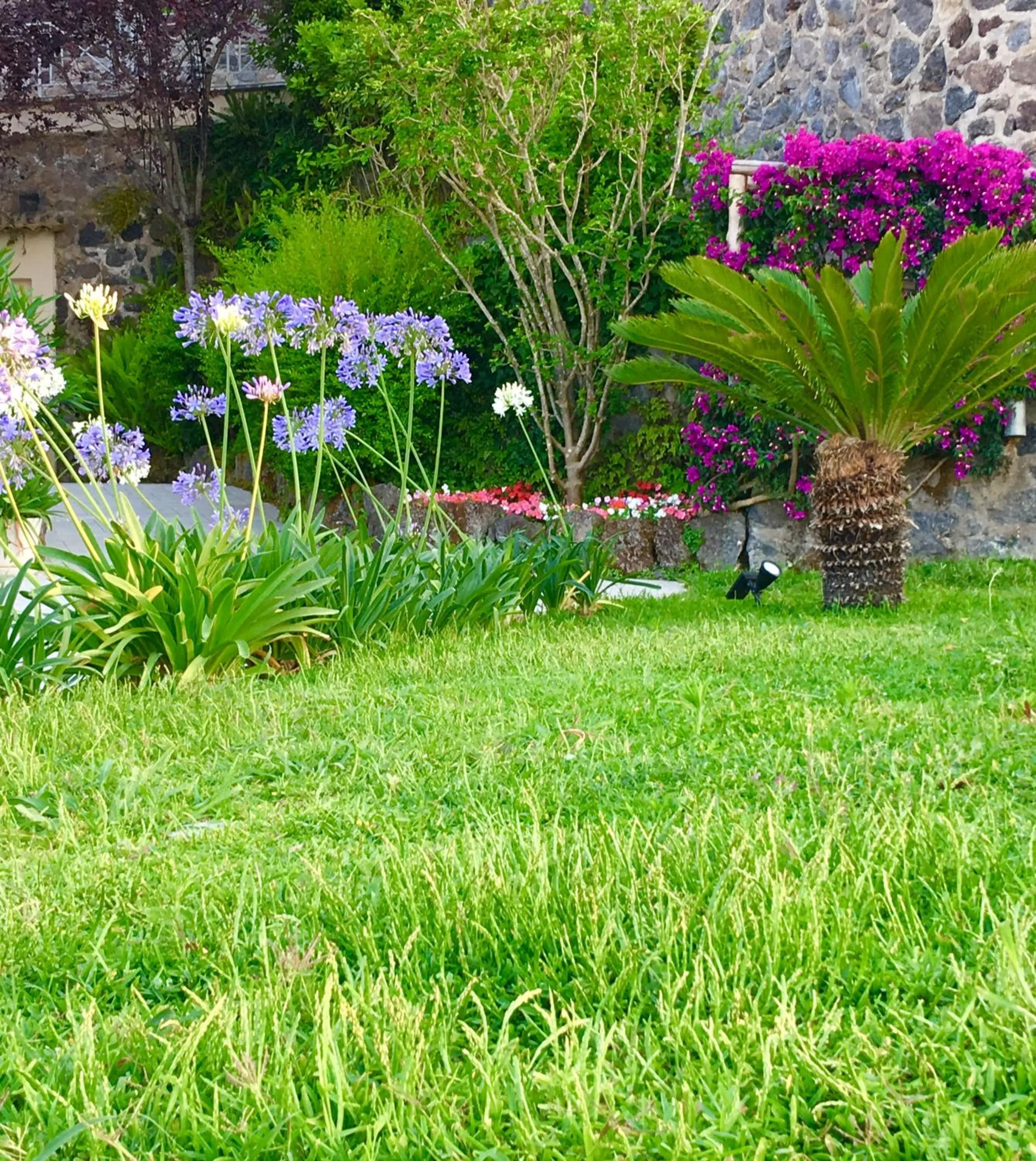 Agapanto Luxury Accommodation