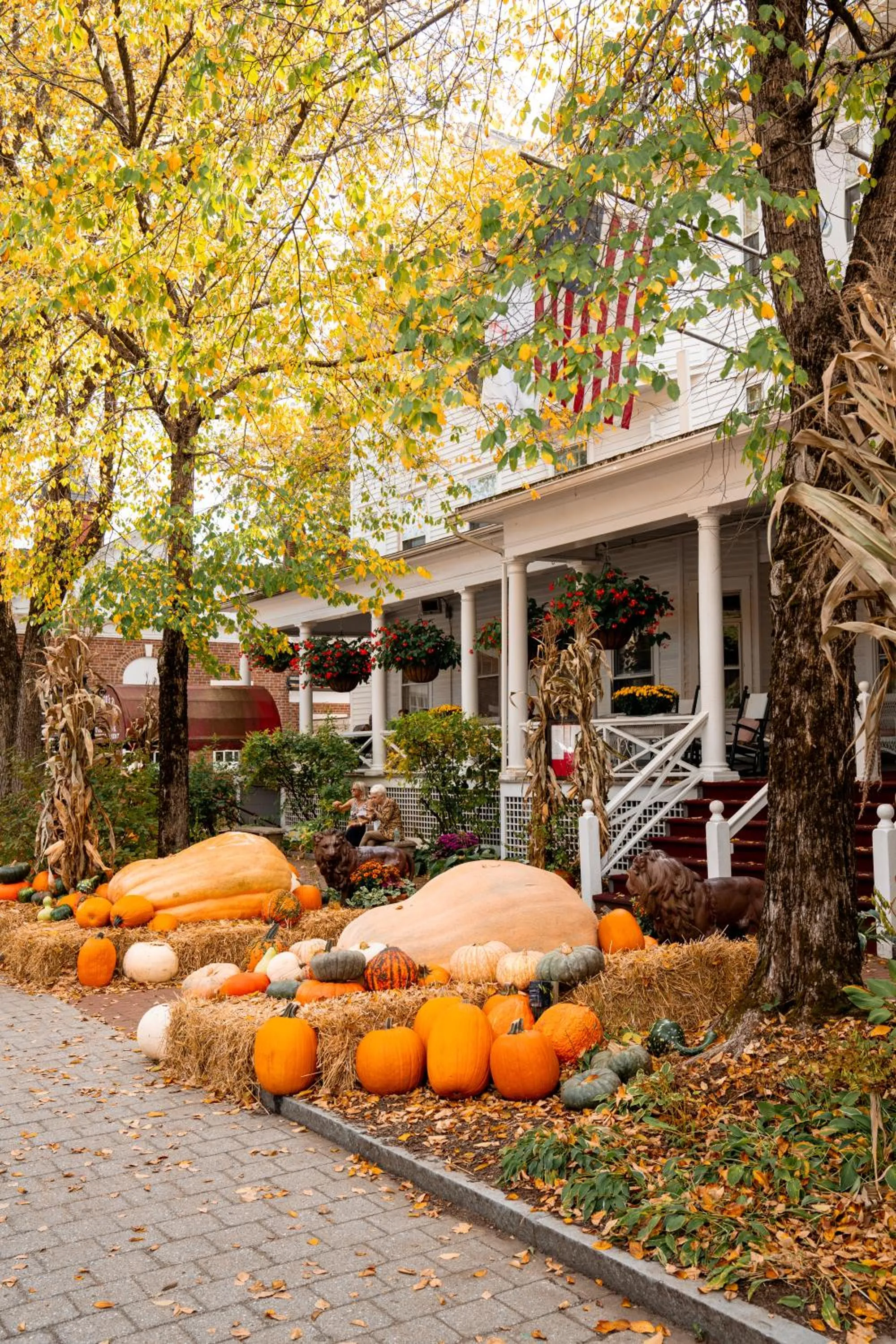 Property building in The Red Lion Inn