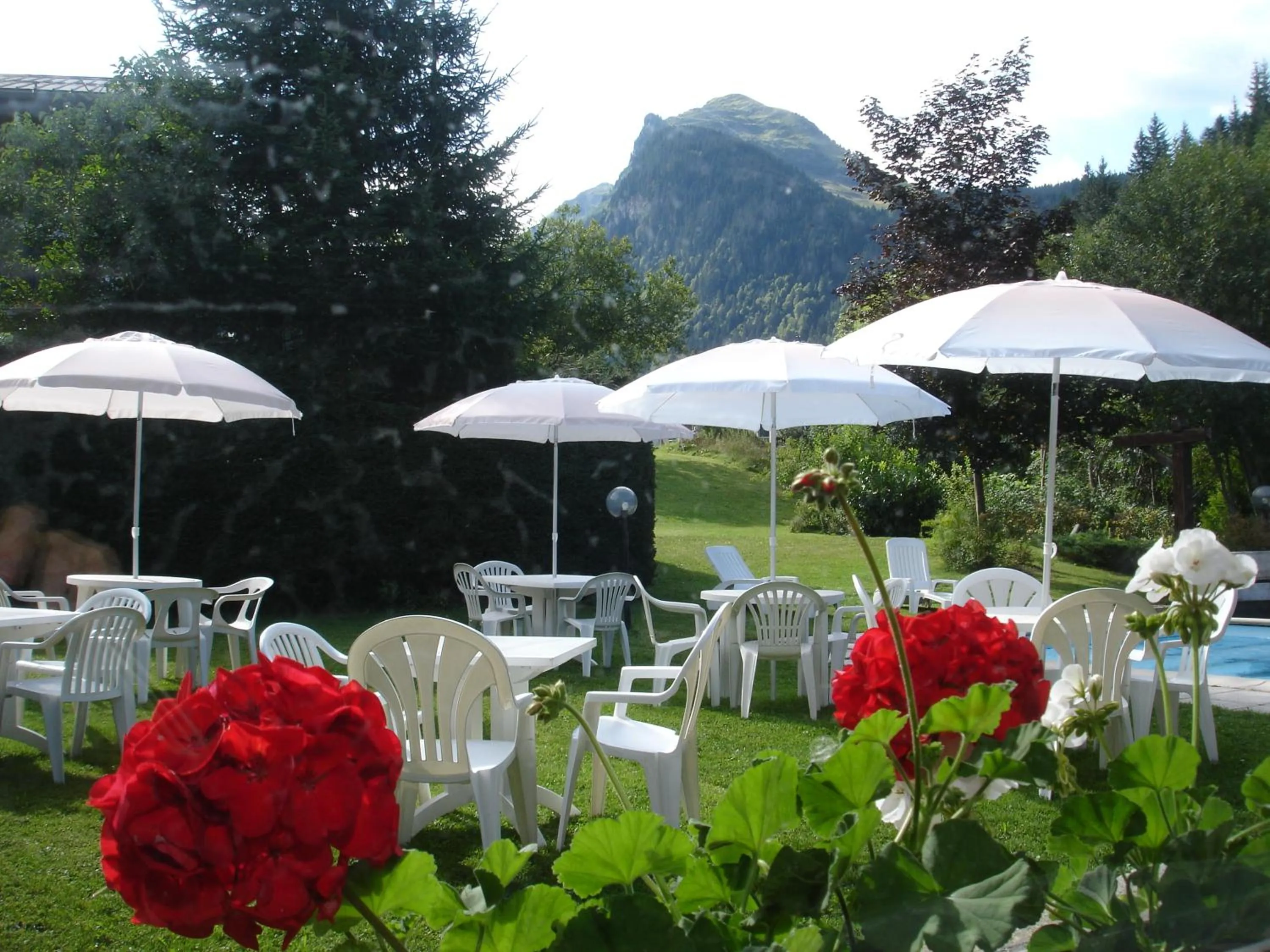 Garden in Hotel Le Soly