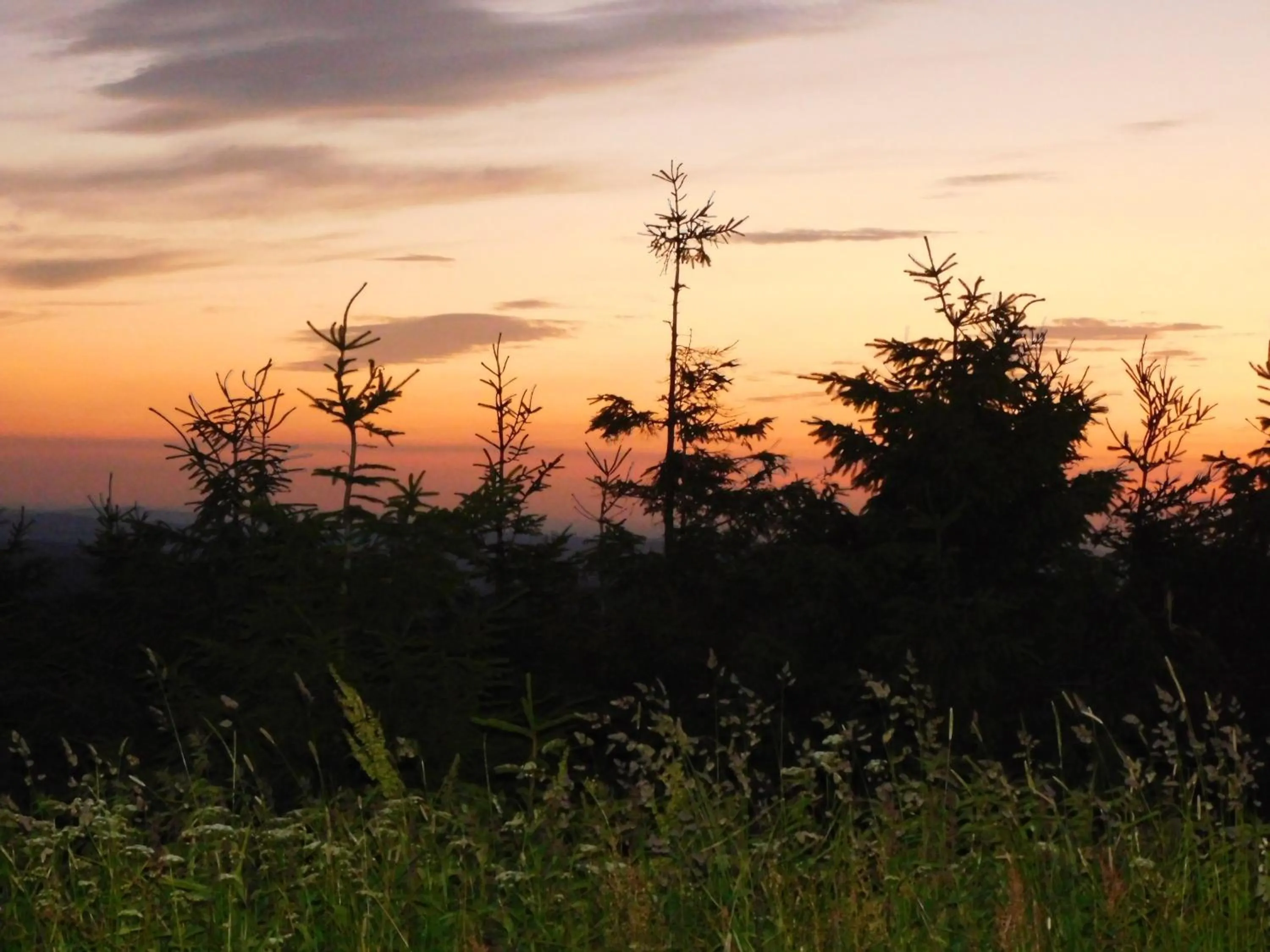 Off site in Rathaushotels All Inklusive