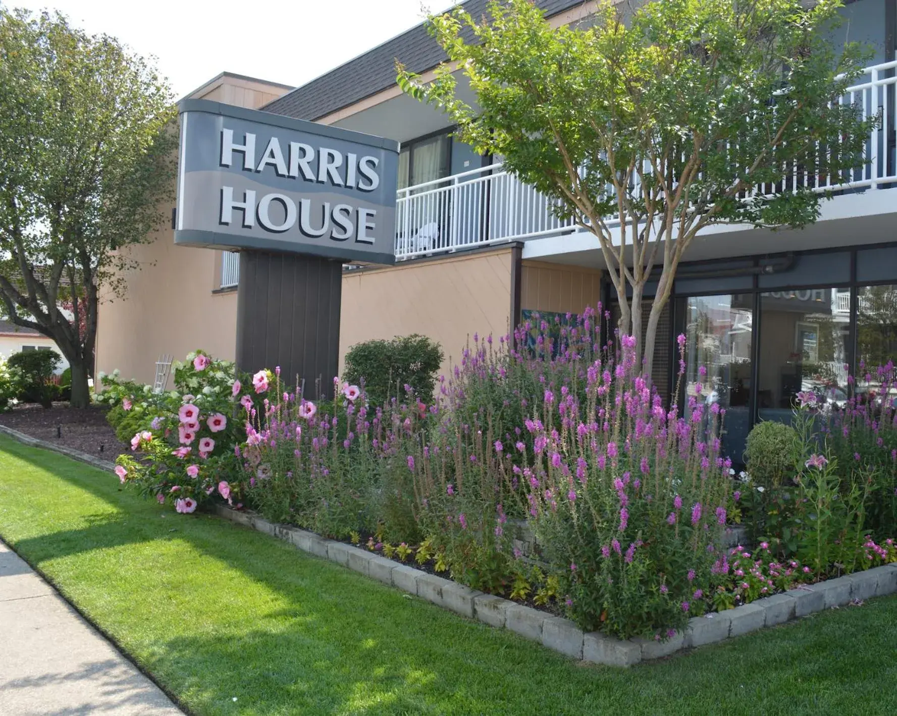 Harris House by the Beach Harris House by the Beach