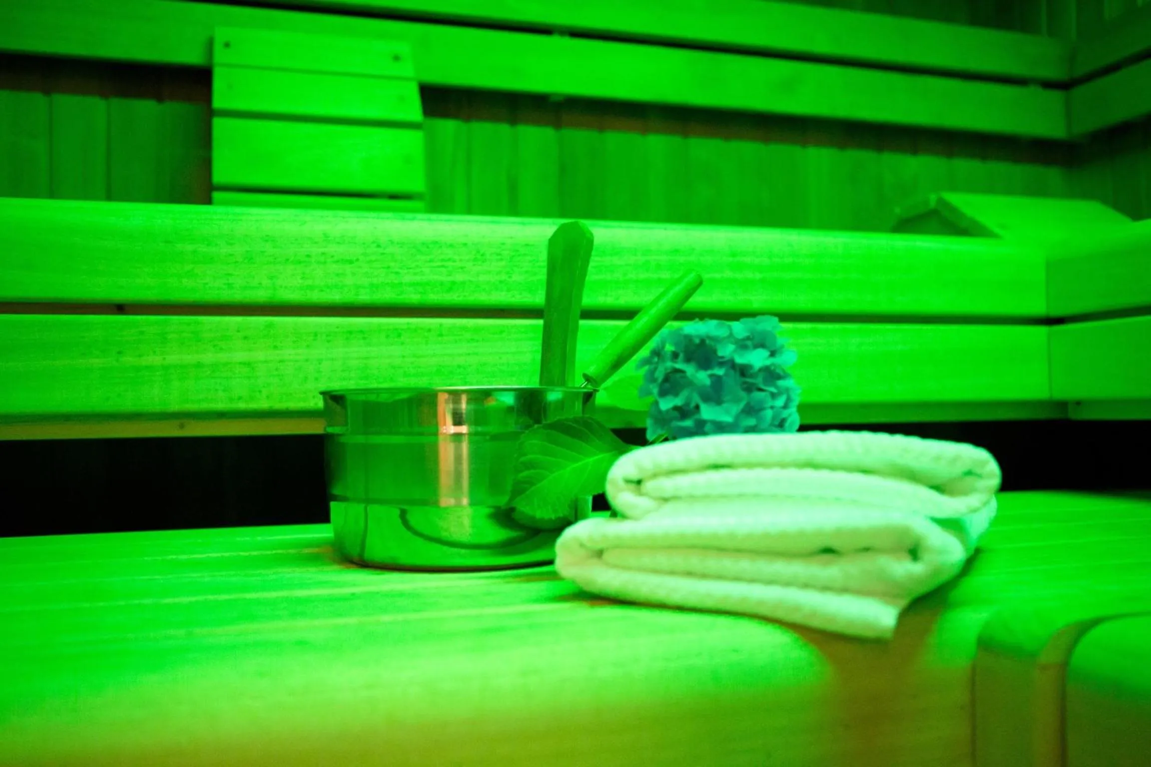 Sauna in Zum Goldenen Anker