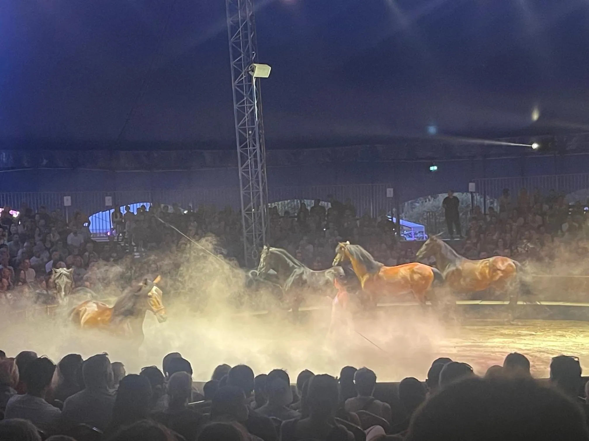 Evening entertainment in Hôtel Paul Riquet