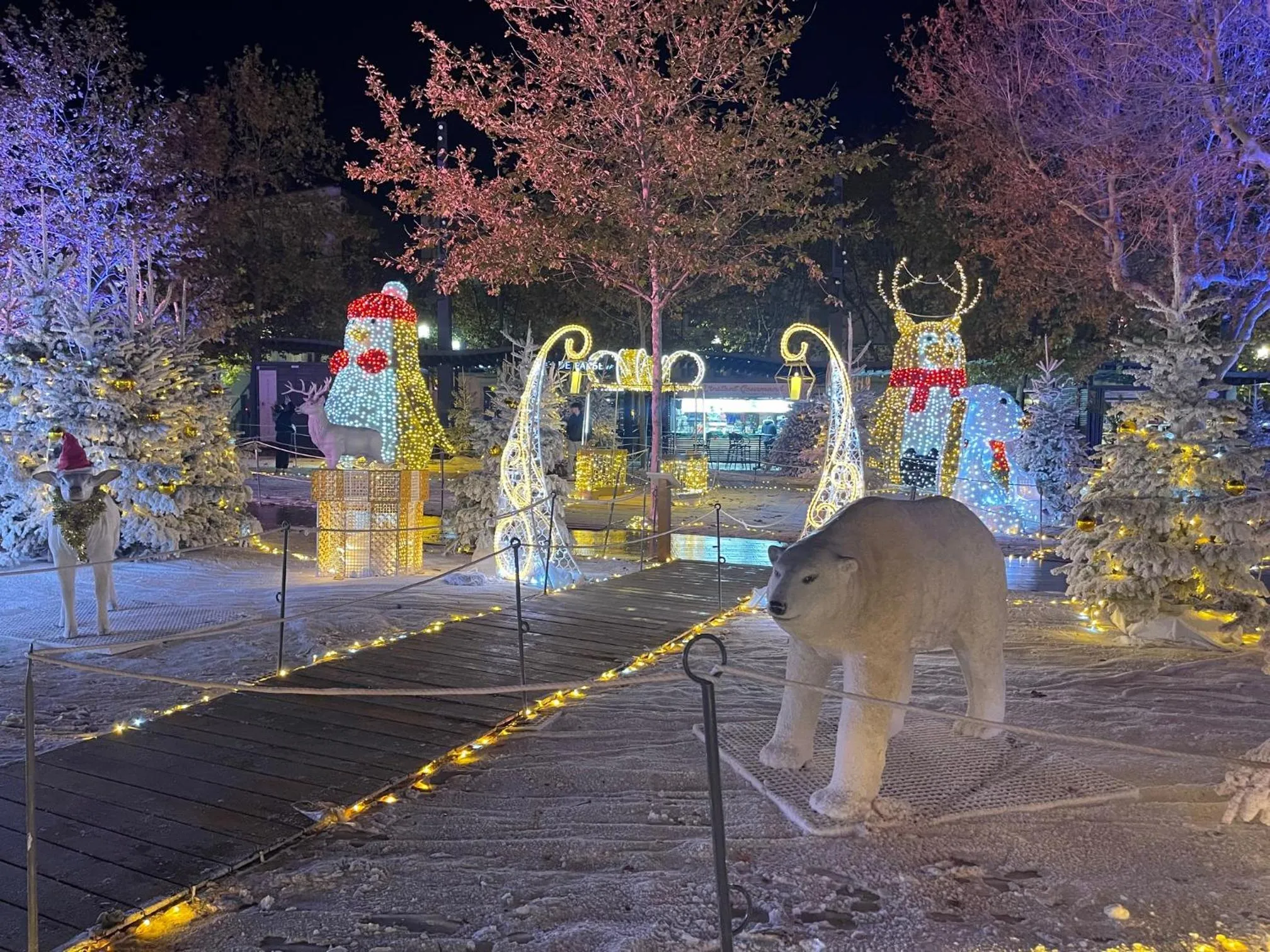 Evening entertainment in Hôtel Paul Riquet