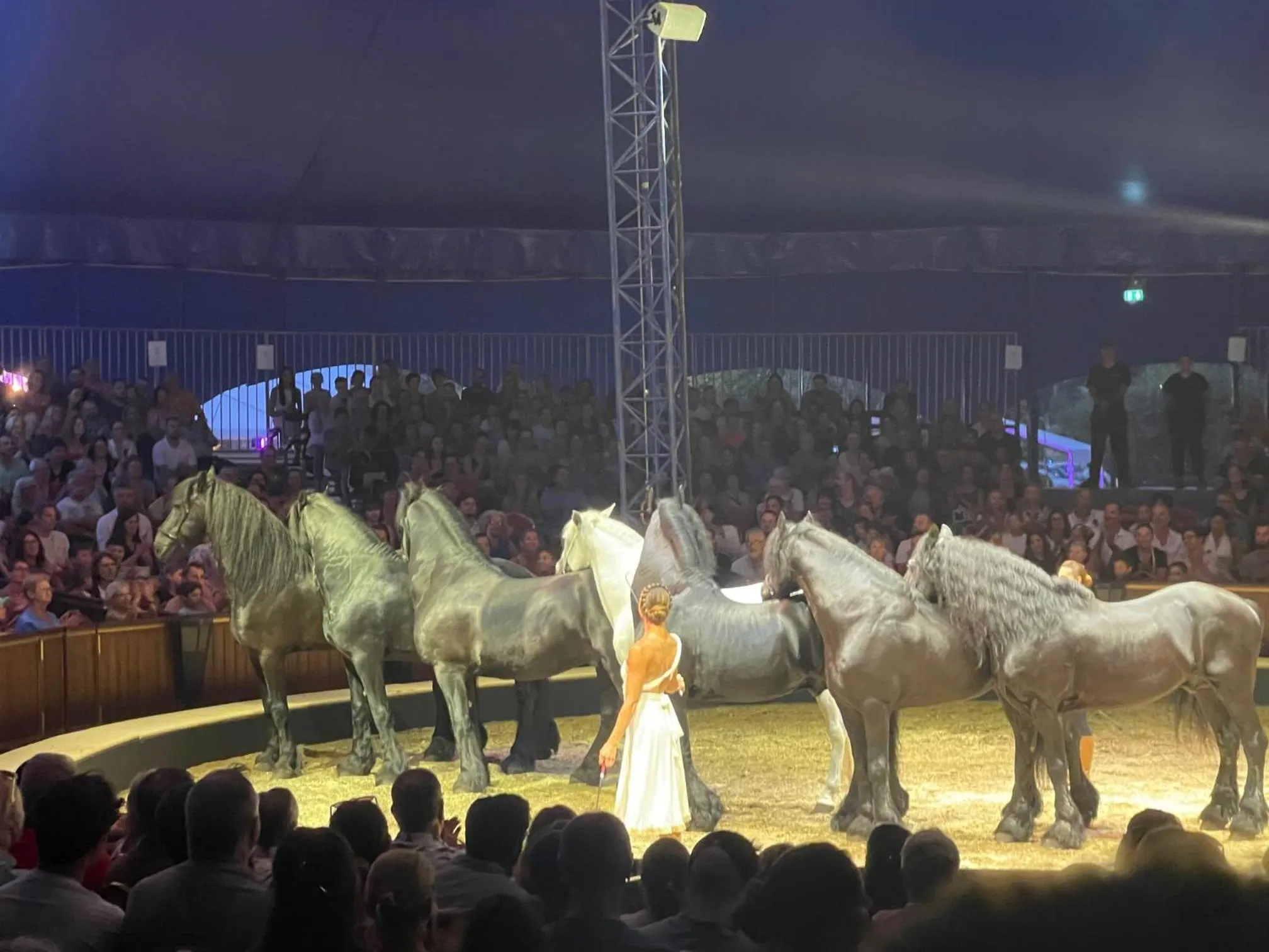 Evening entertainment in Hôtel Paul Riquet
