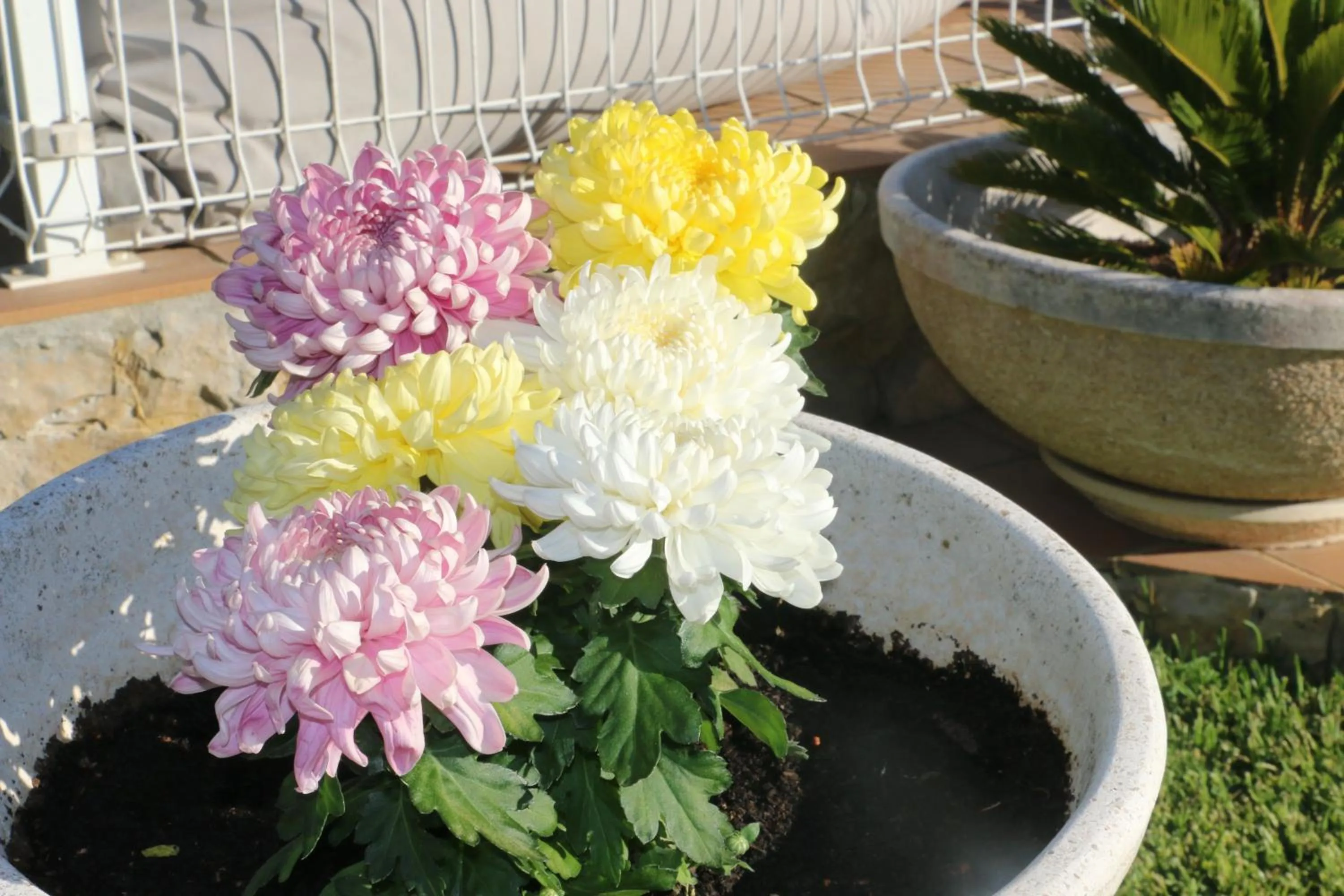 Garden view in Casa Teresinha