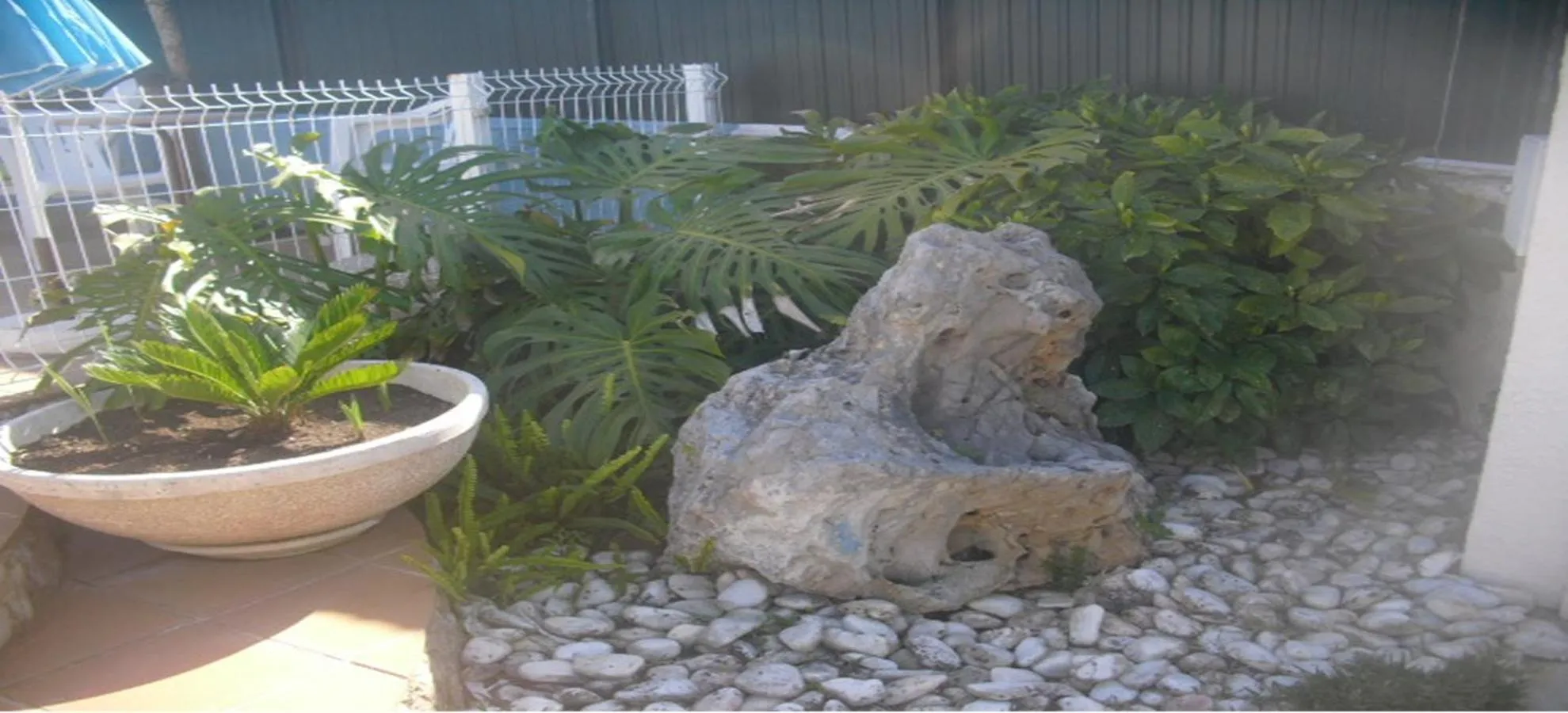 Garden view in Casa Teresinha