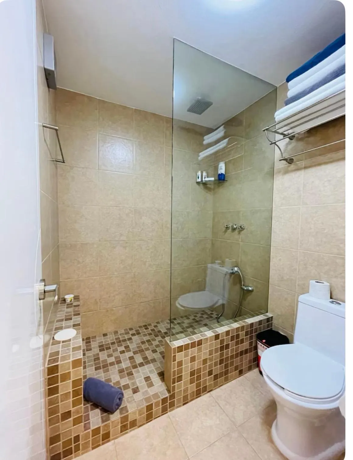 Toilet in Caribbean apartment